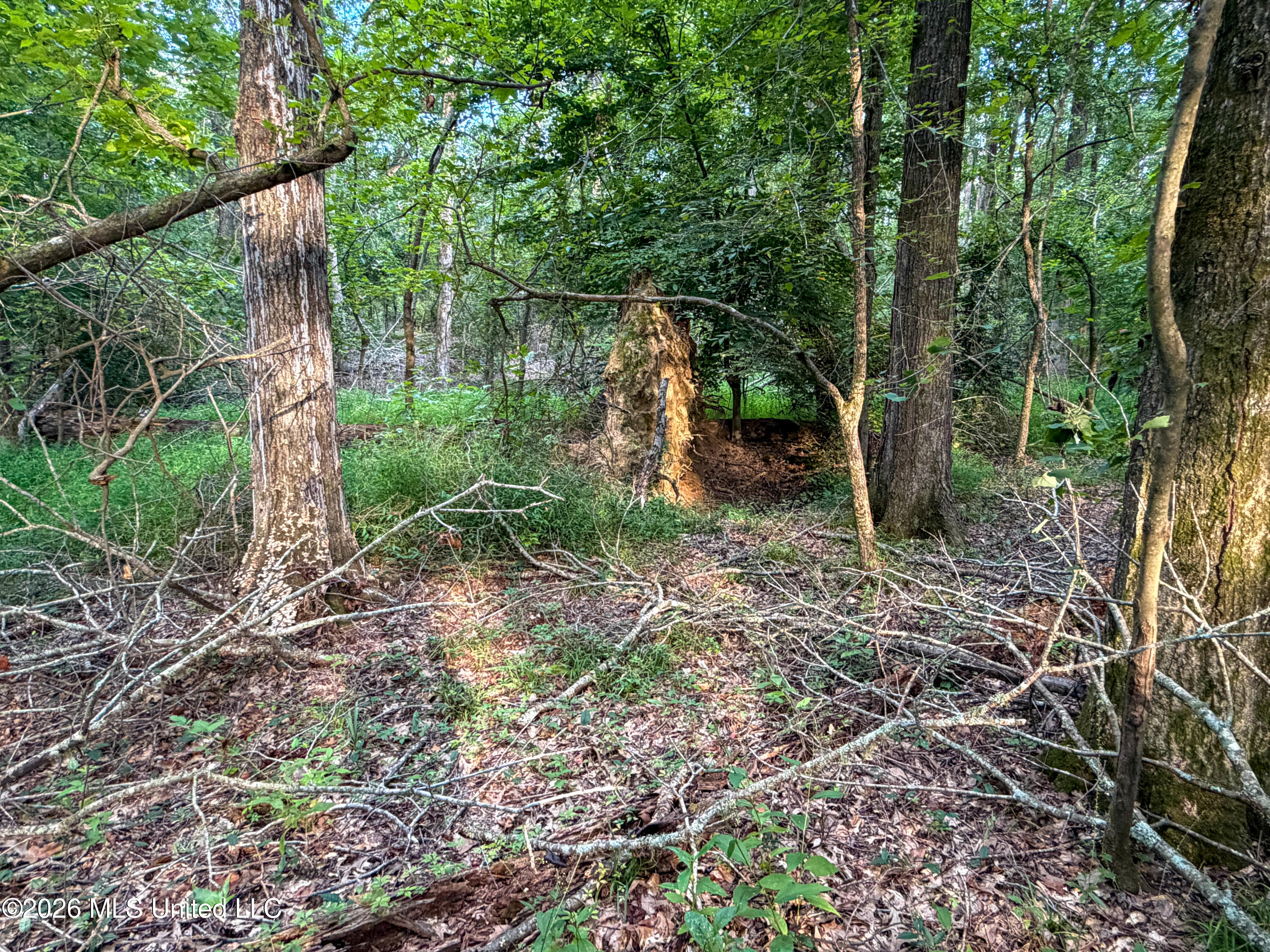 Highway 7 Property Photo 29