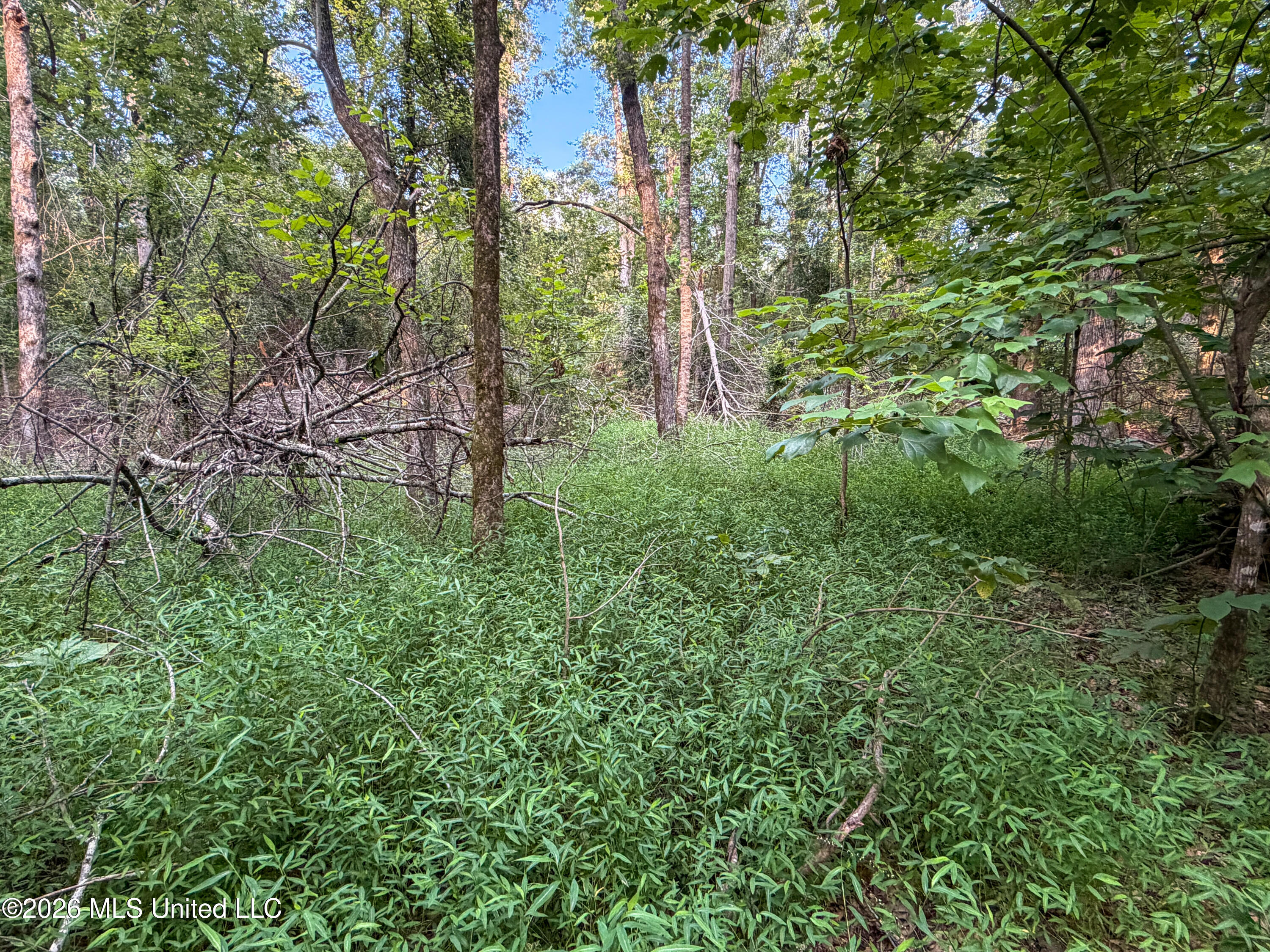 Highway 7 Property Photo 30