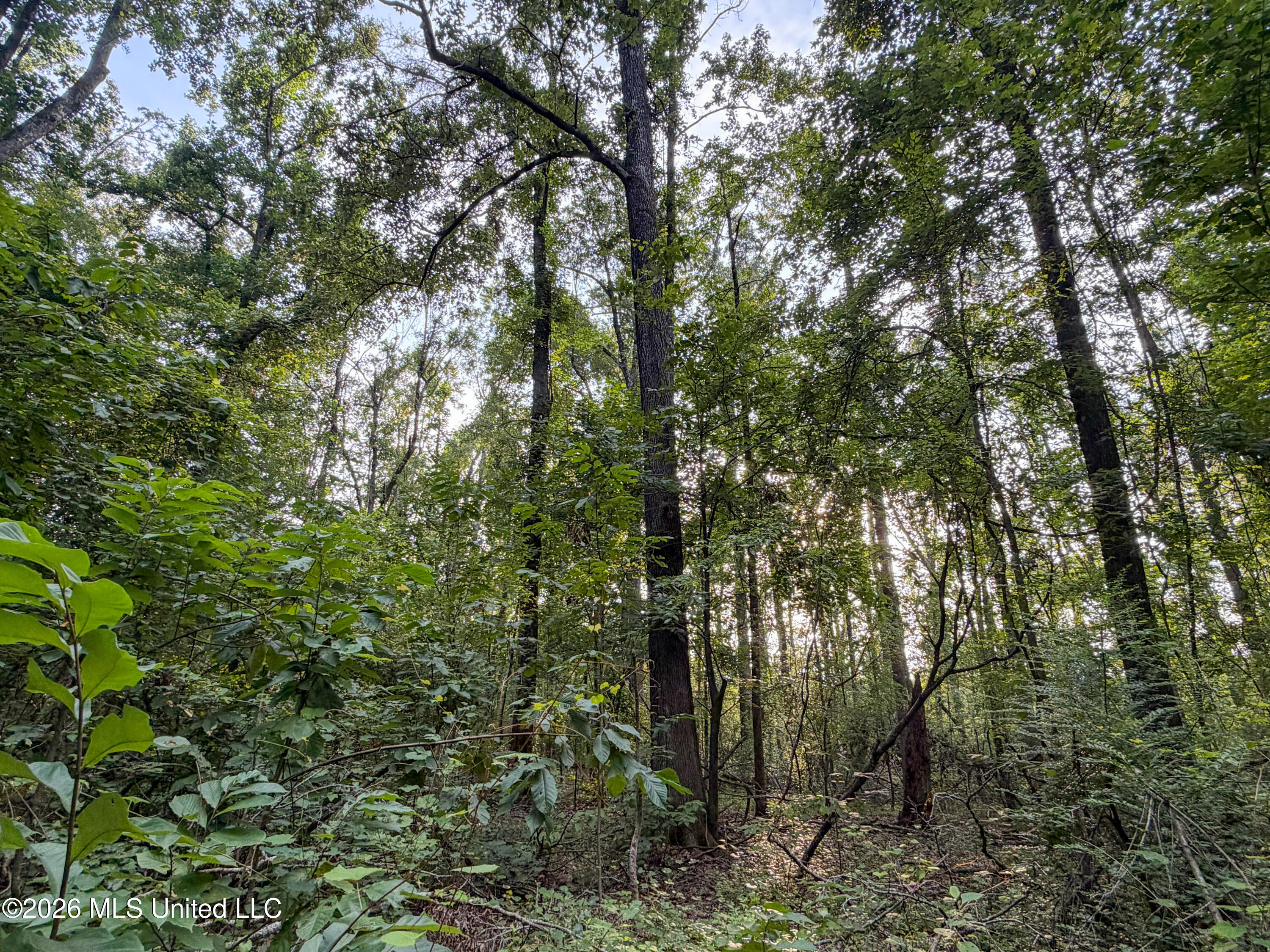 Highway 7 Property Photo 31