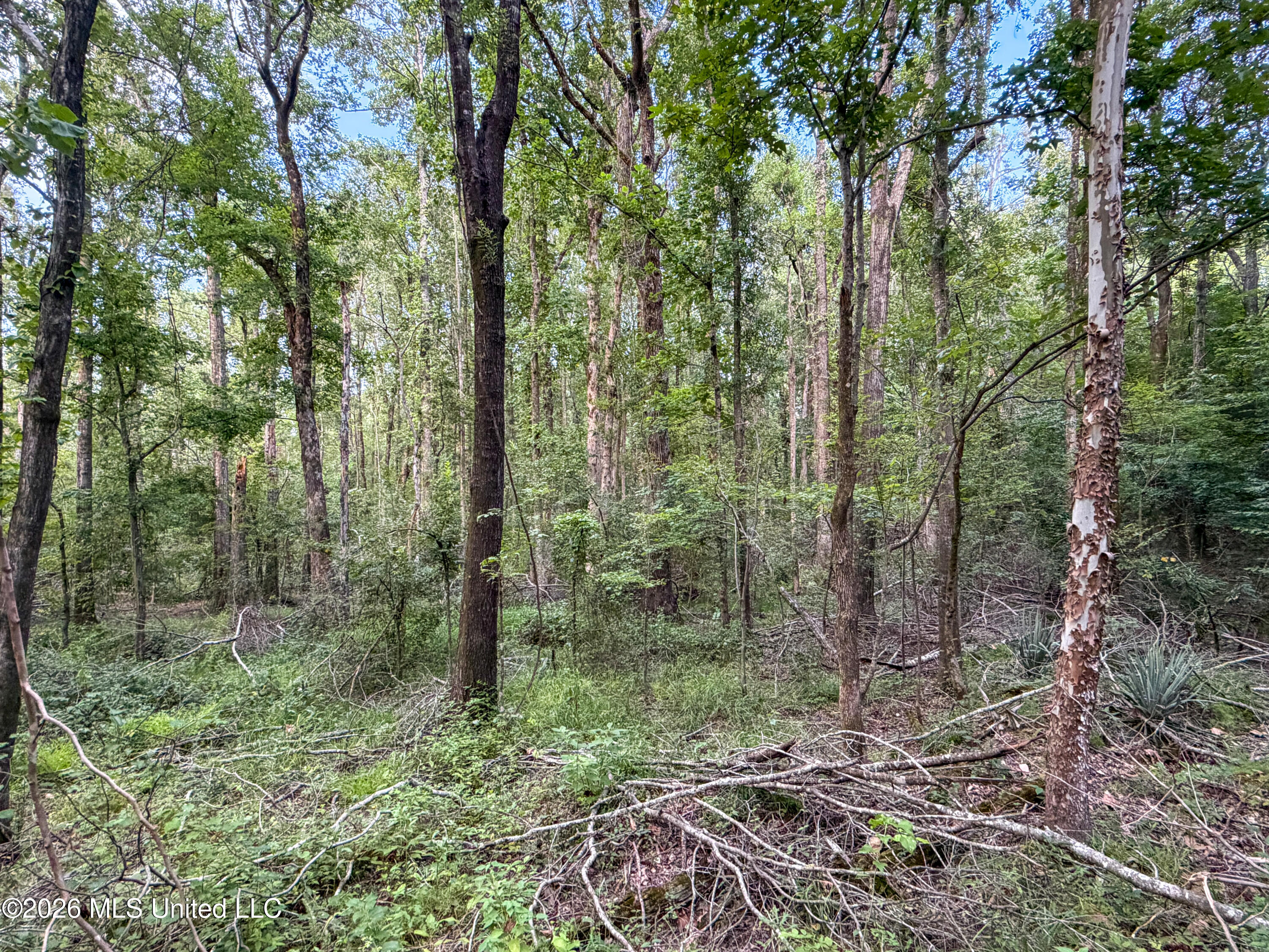 Highway 7 Property Photo 32