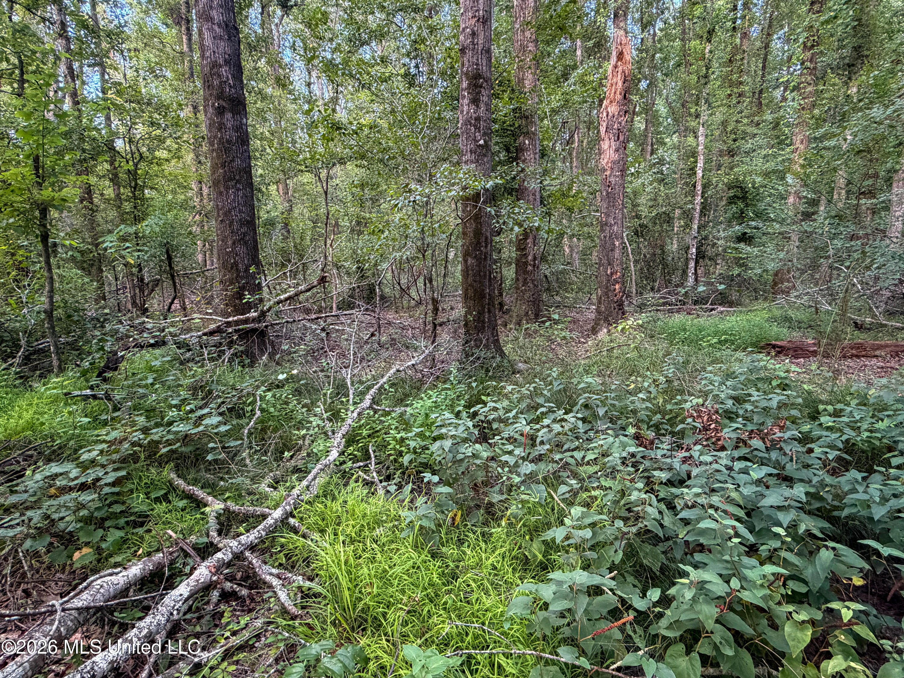 Highway 7 Property Photo 33