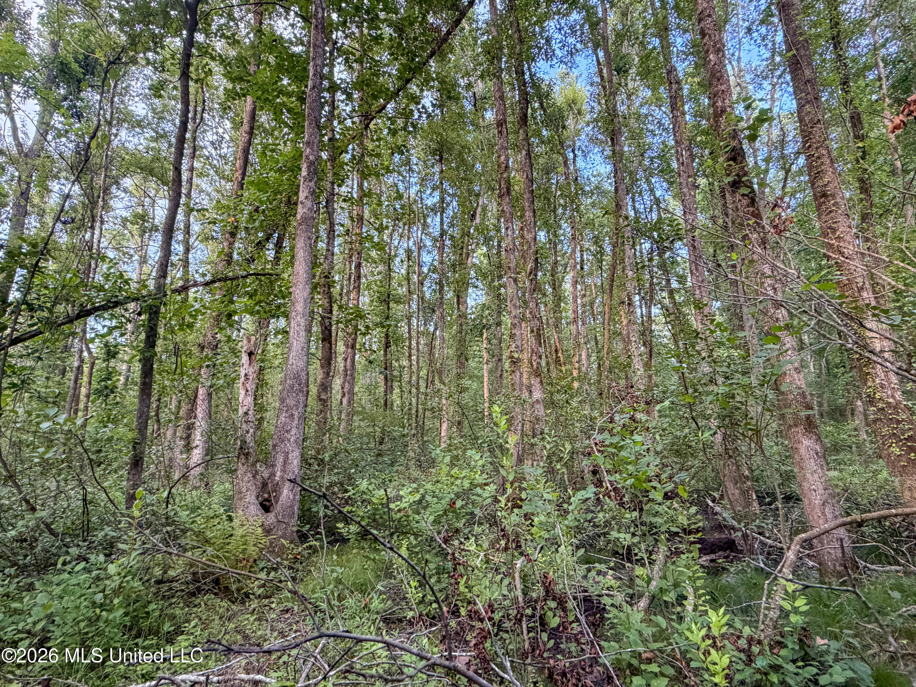 Highway 7 Property Photo 34