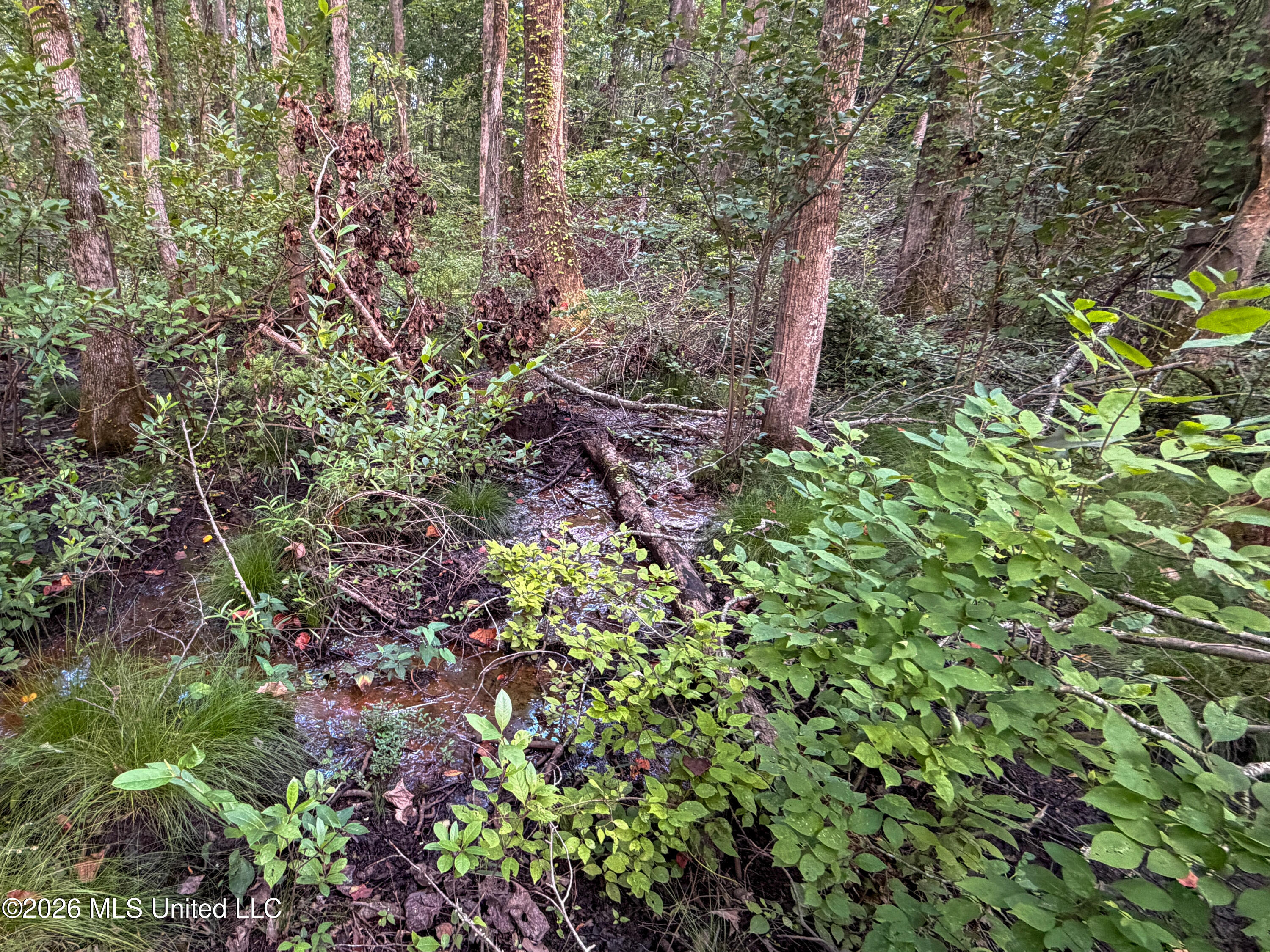 Highway 7 Property Photo 35