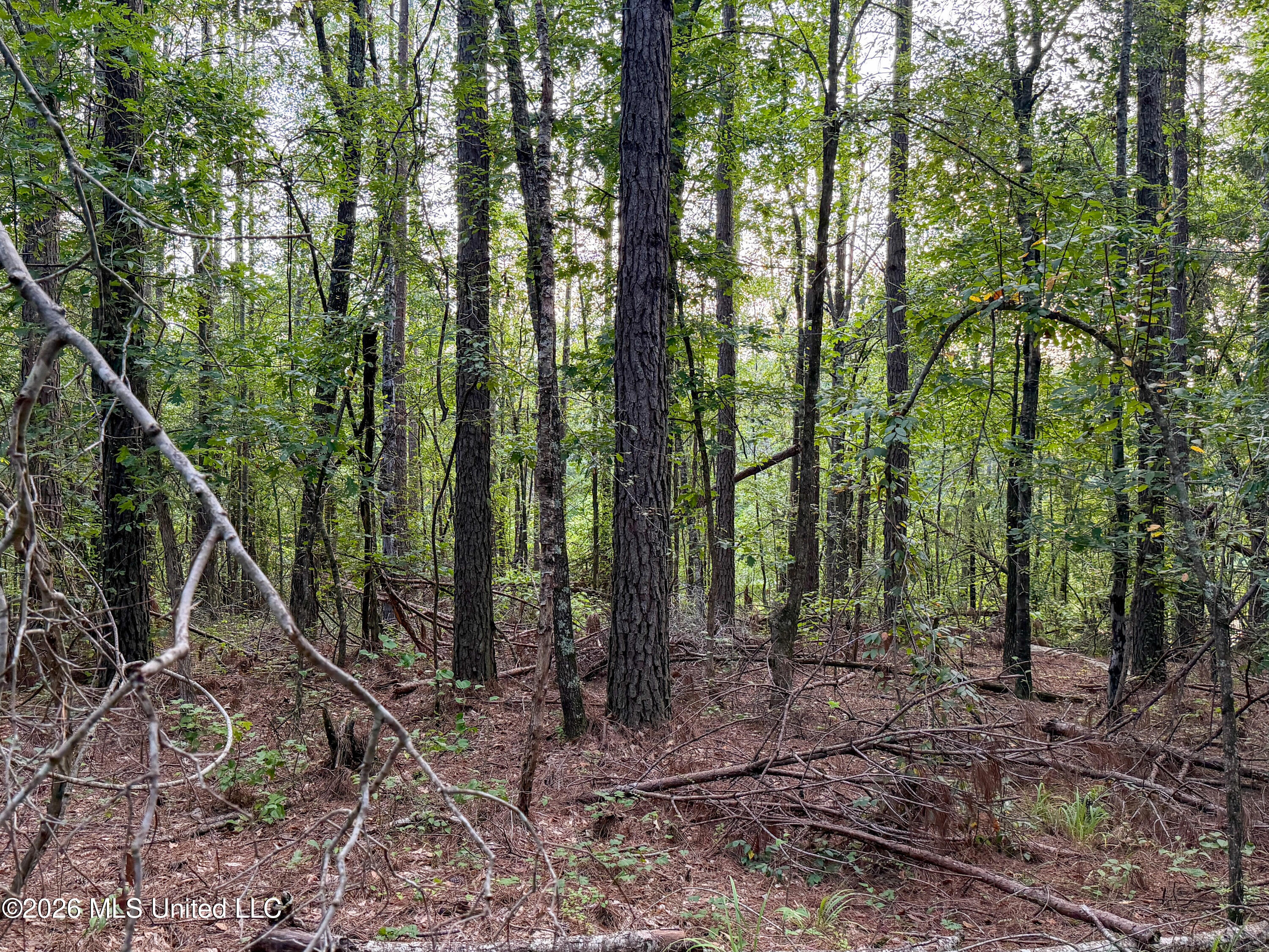Highway 7 Property Photo 36