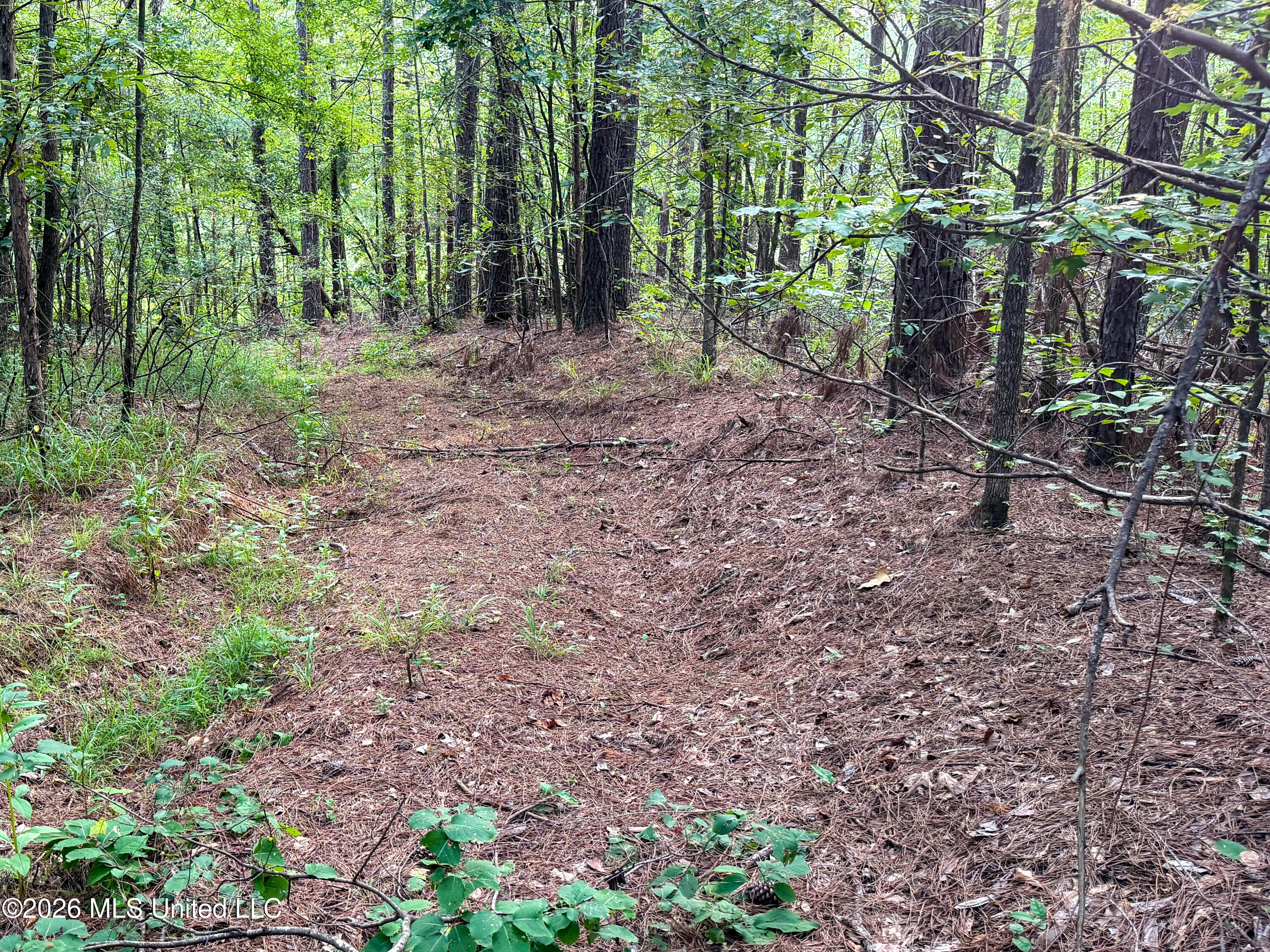 Highway 7 Property Photo 37