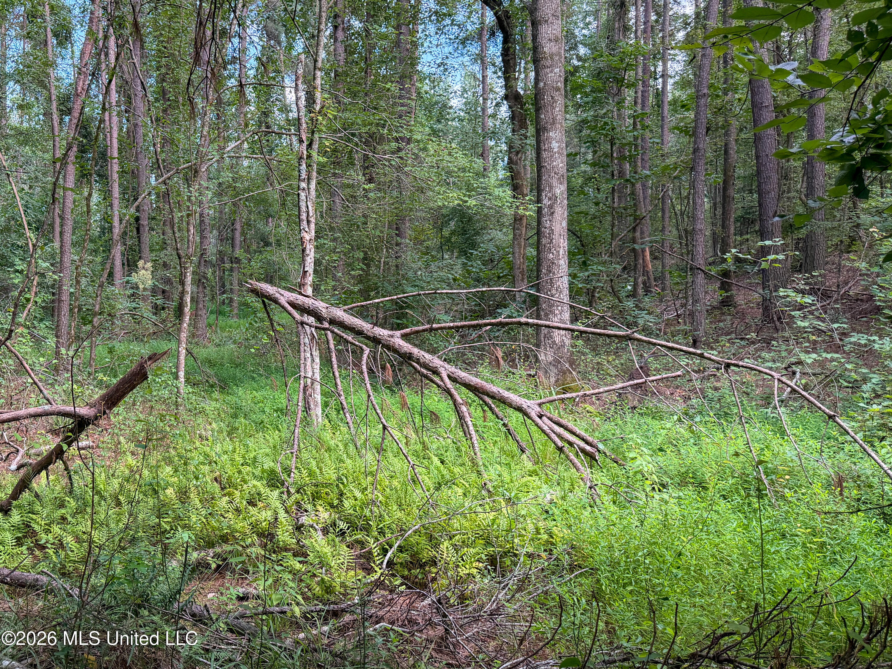 Highway 7 Property Photo 38