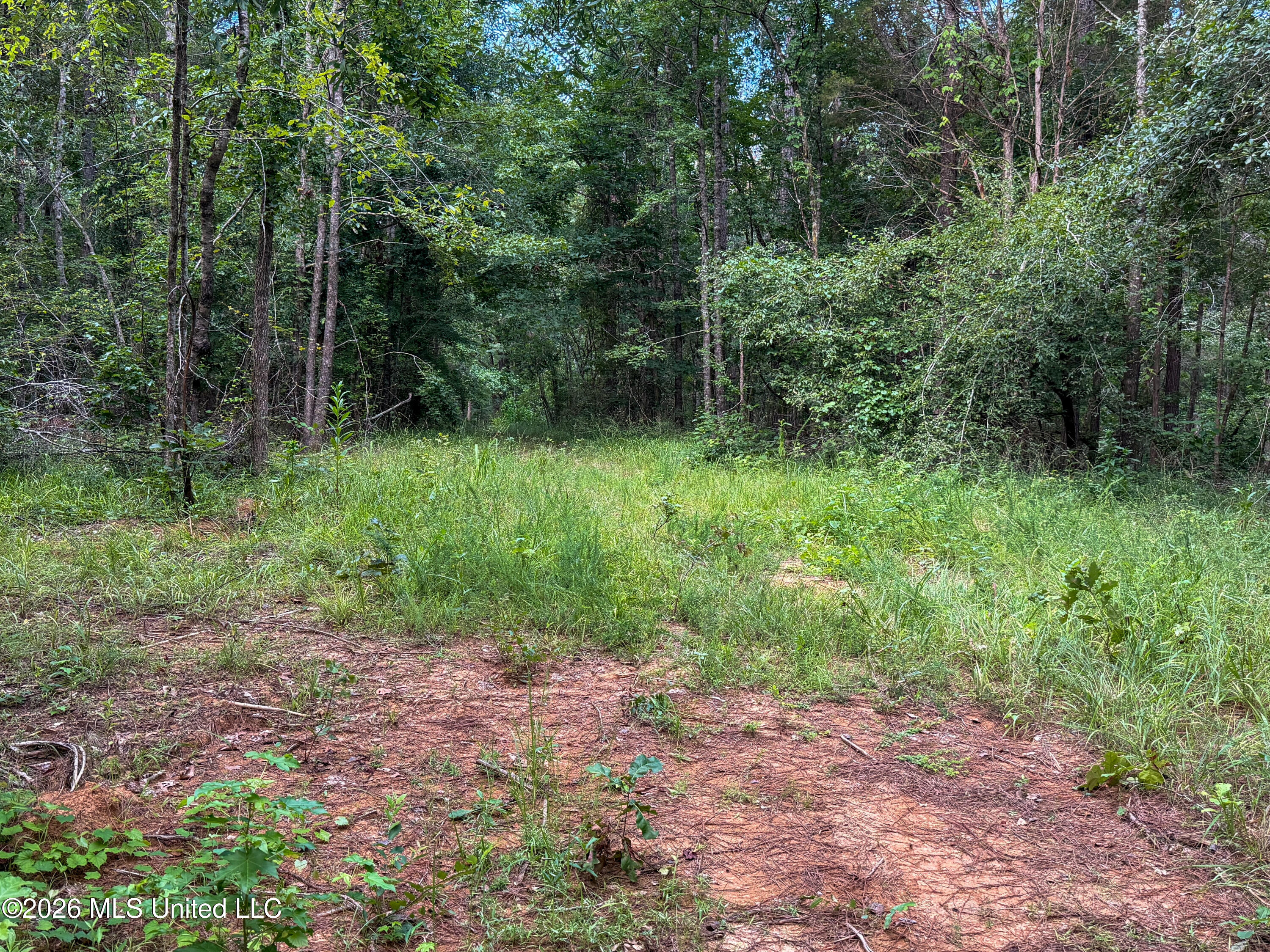 Highway 7 Property Photo 39