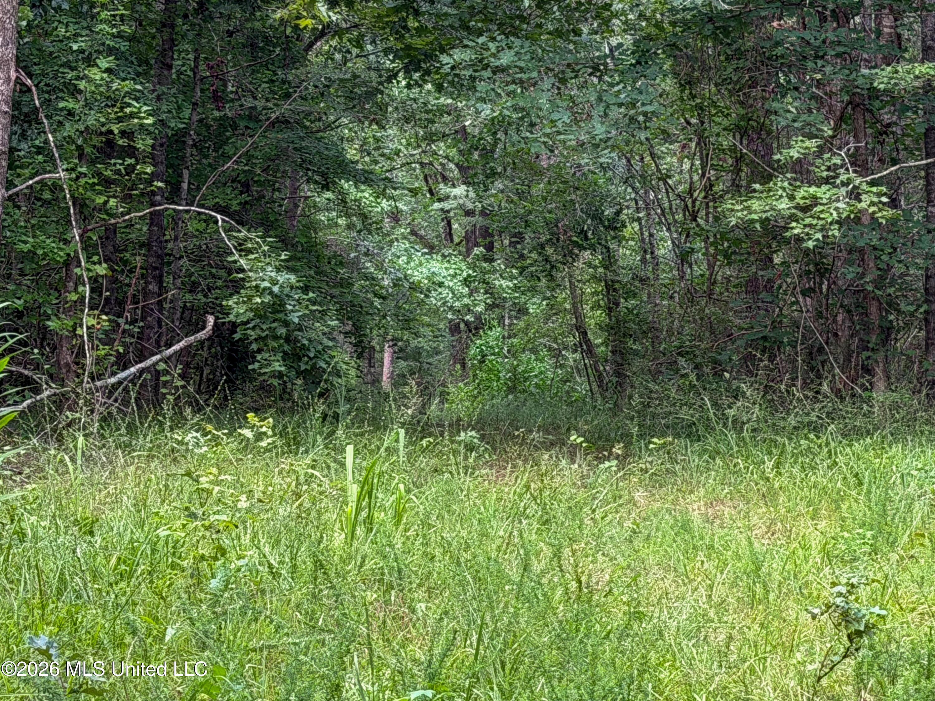 Highway 7 Property Photo 40