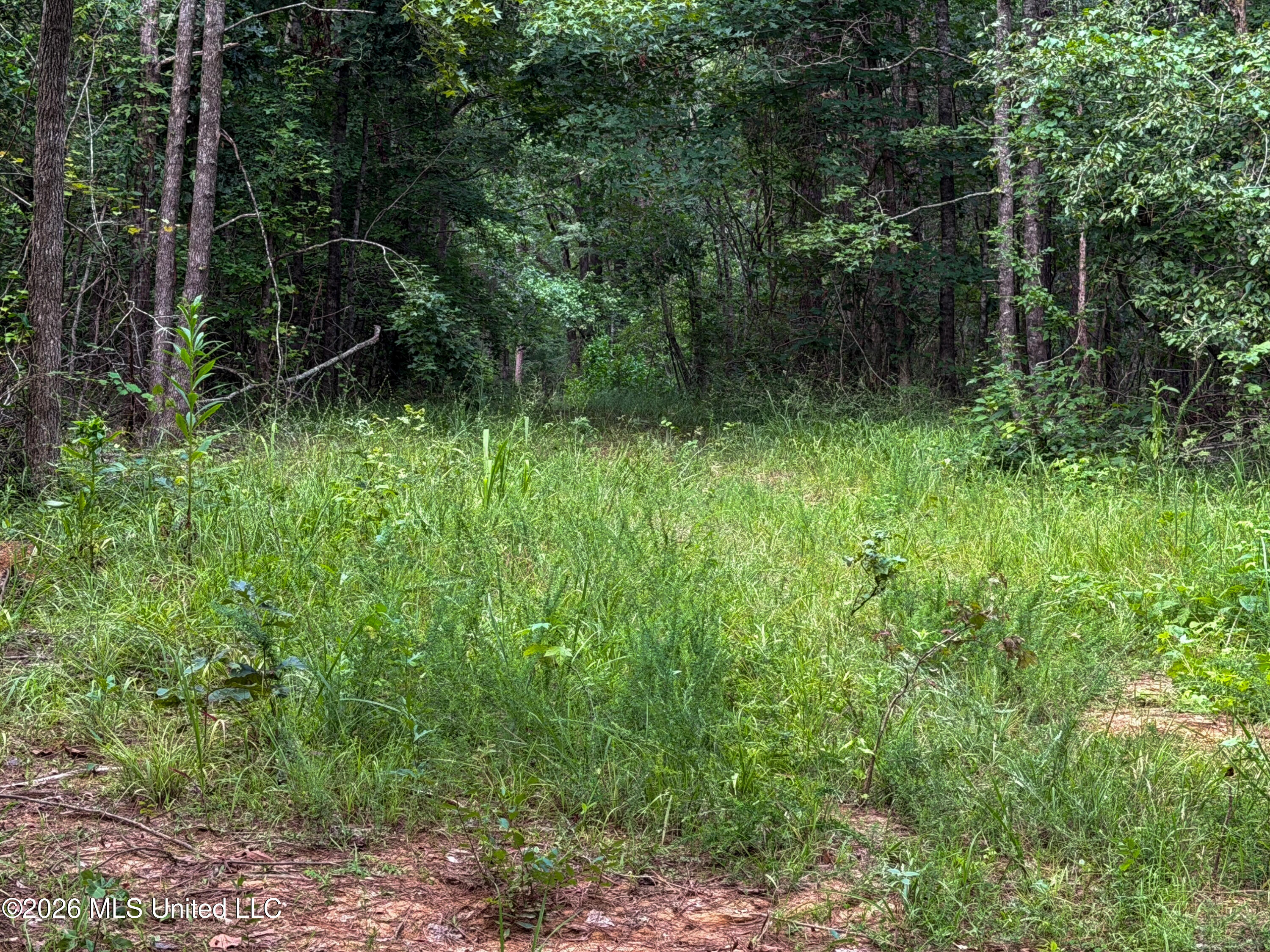 Highway 7 Property Photo 41
