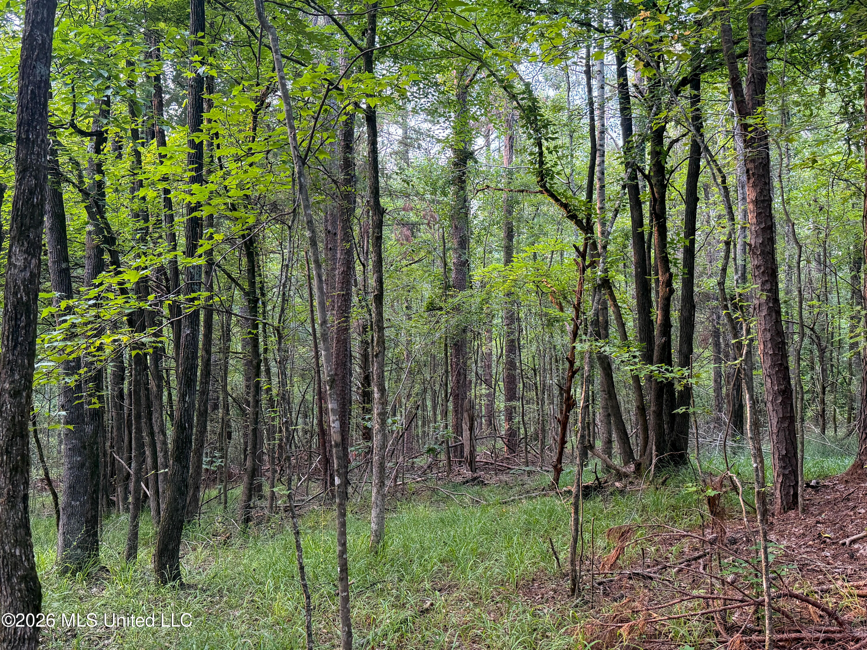 Highway 7 Property Photo 42