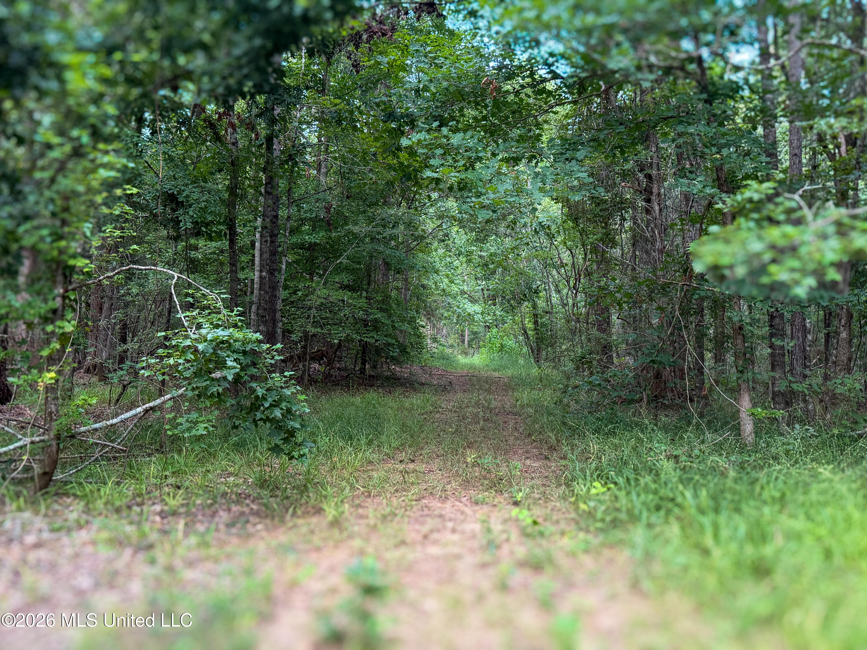 Highway 7 Property Photo 43