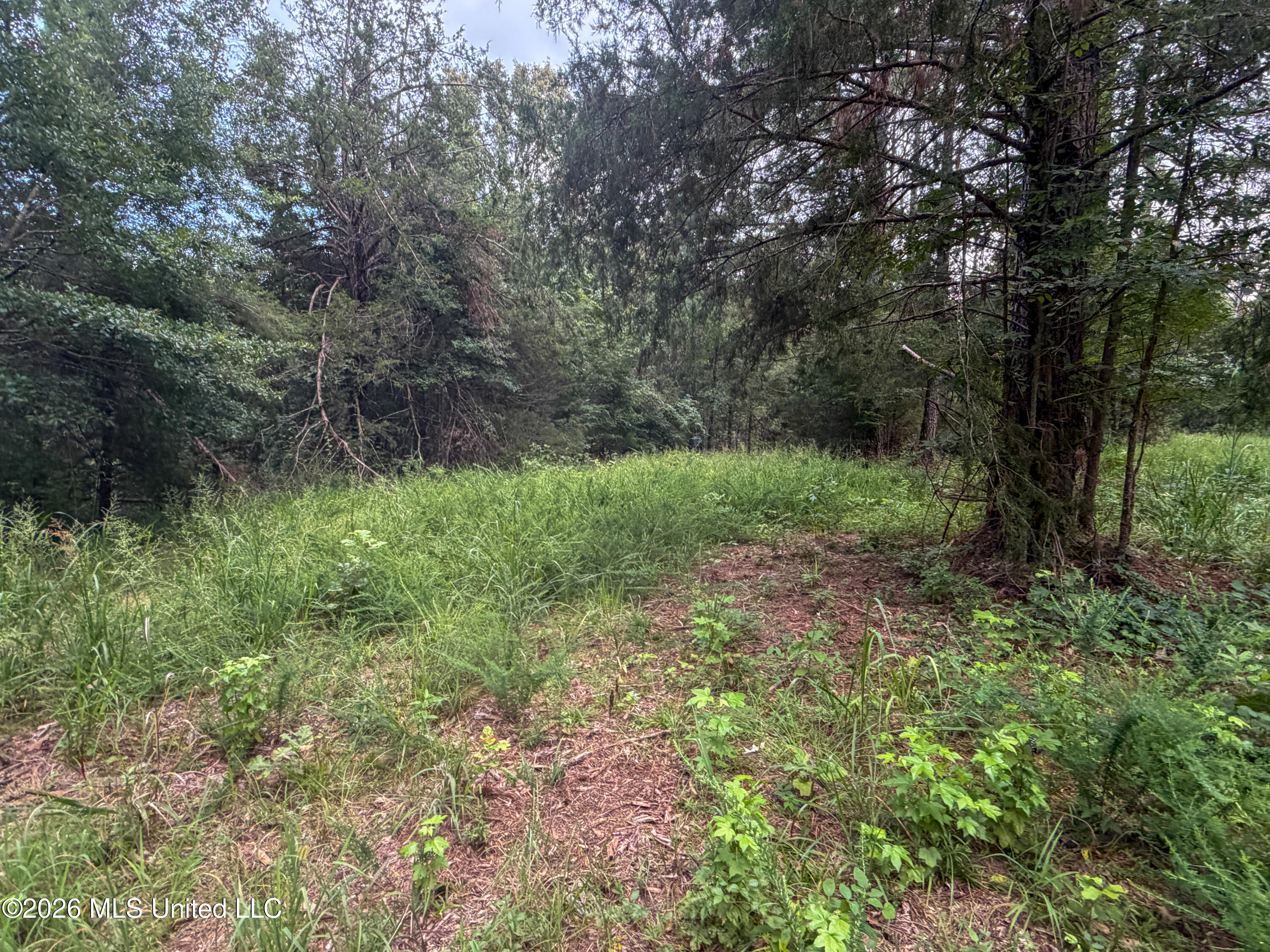 Highway 7 Property Photo 44