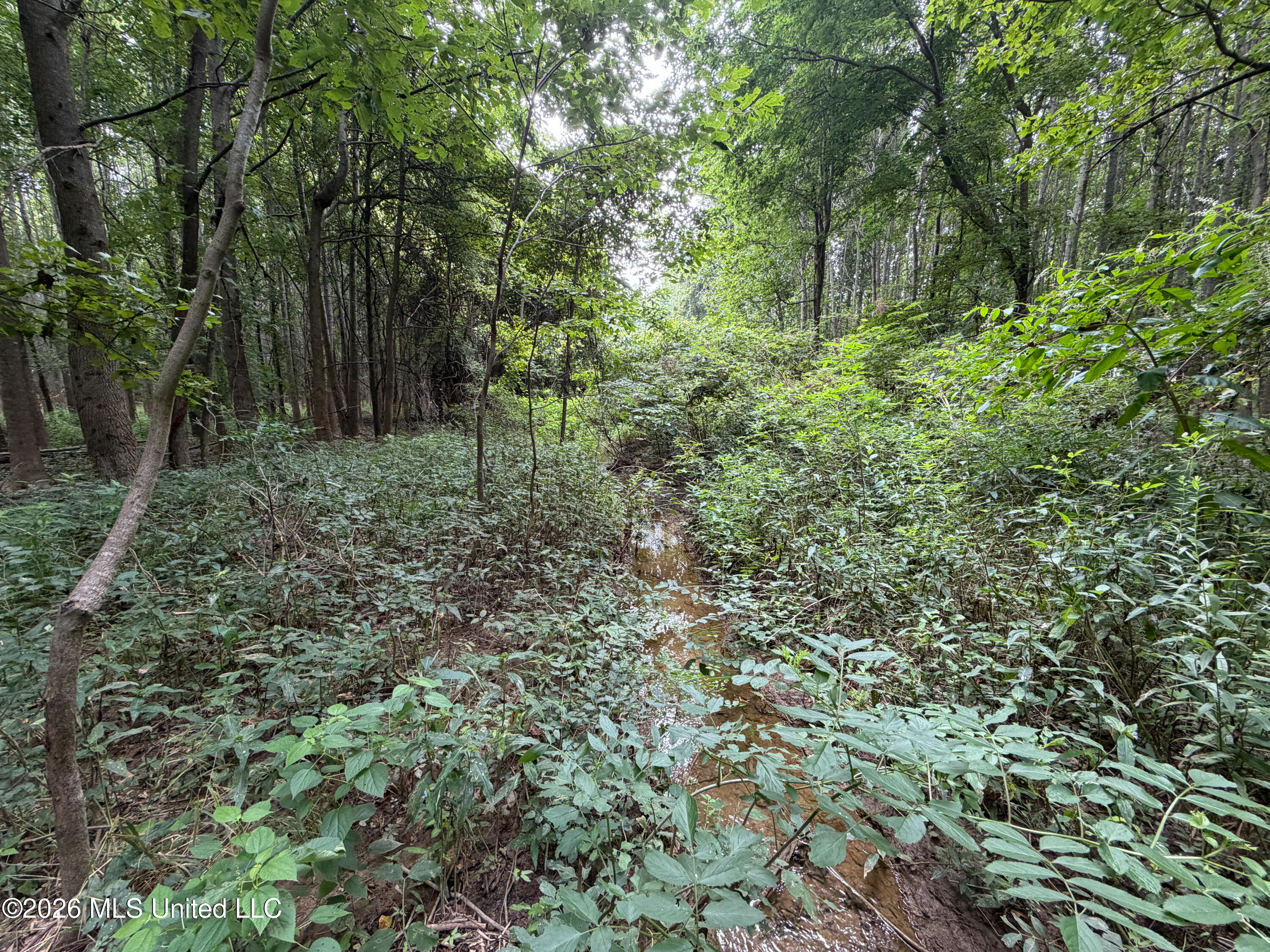 Highway 7 Property Photo 45