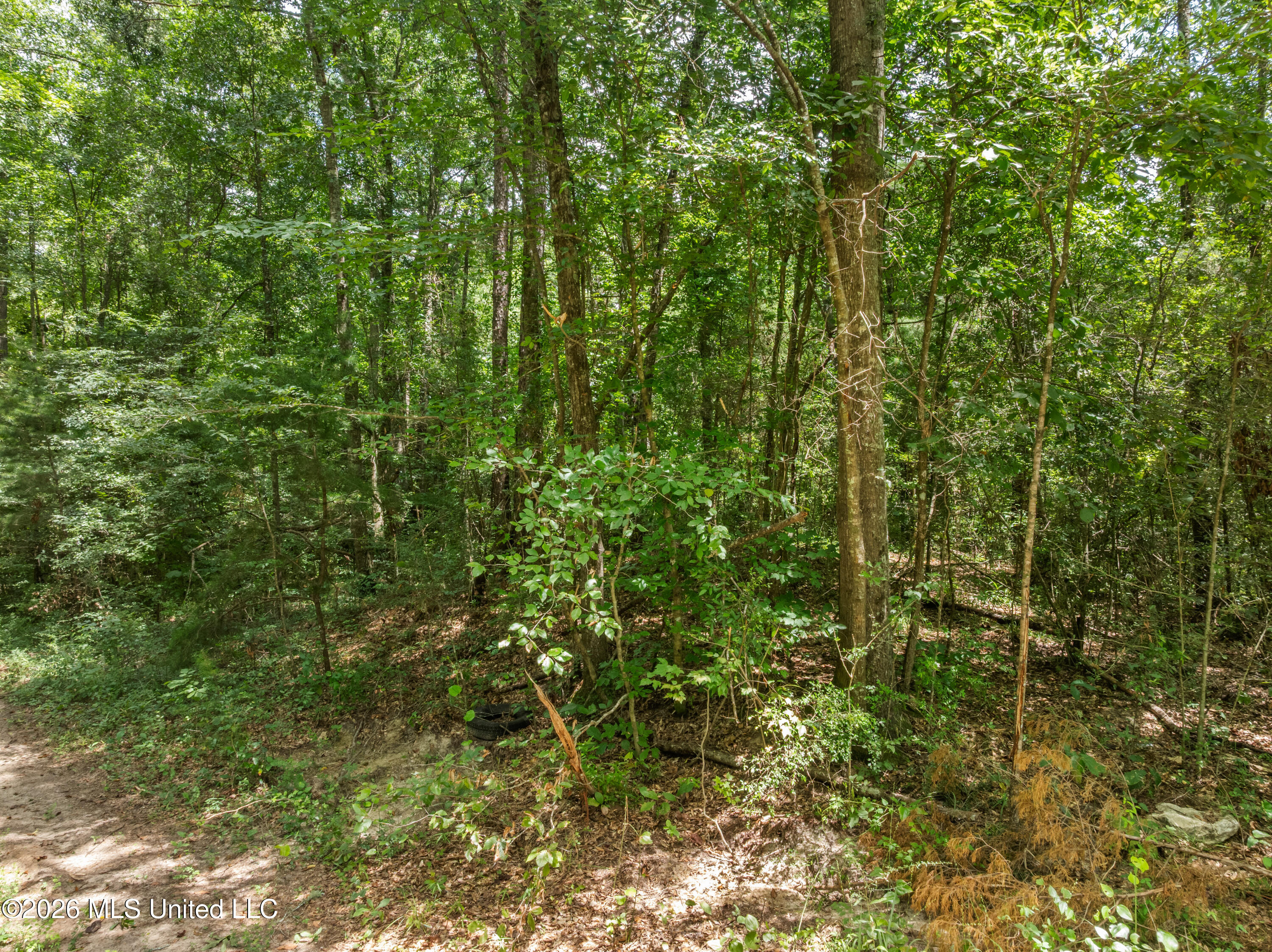 0 E Of Hwy 45 Property Photo 6