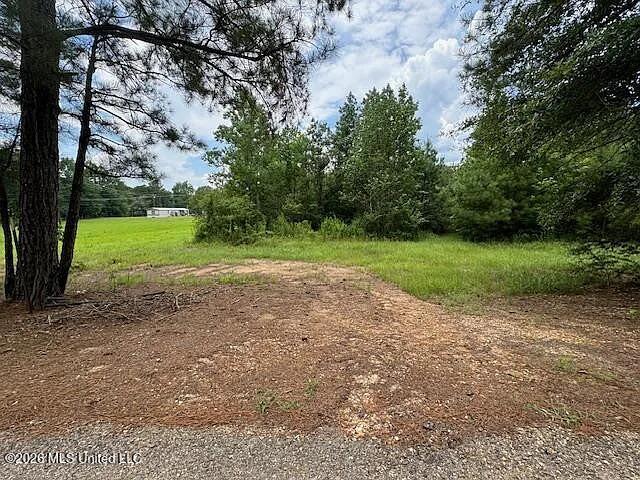 Parcel 2&3 Harper College Road Property Photo 2
