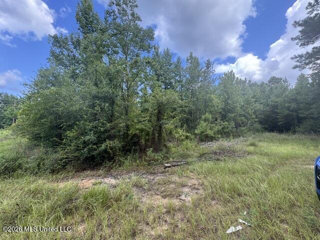 Parcel 2&3 Harper College Road Property Photo 3