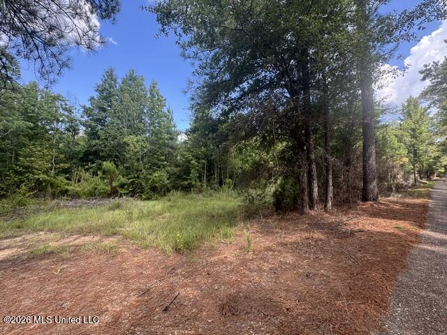 Parcel 2&3 Harper College Road Property Photo 5