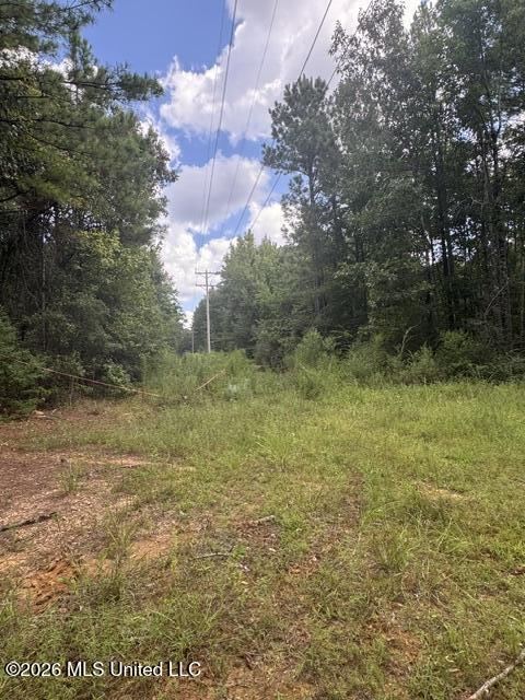 Parcel 2&3 Harper College Road Property Photo 6