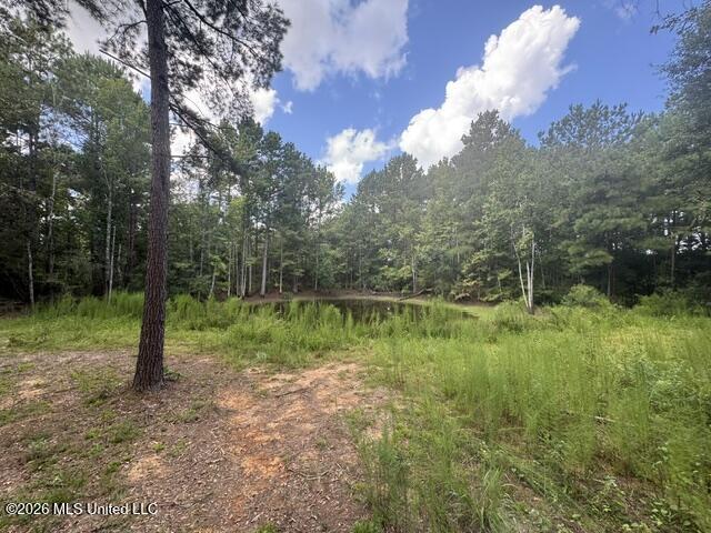 Parcel 2&3 Harper College Road Property Photo 8
