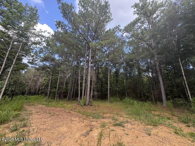 Parcel 2&3 Harper College Road Property Photo 9