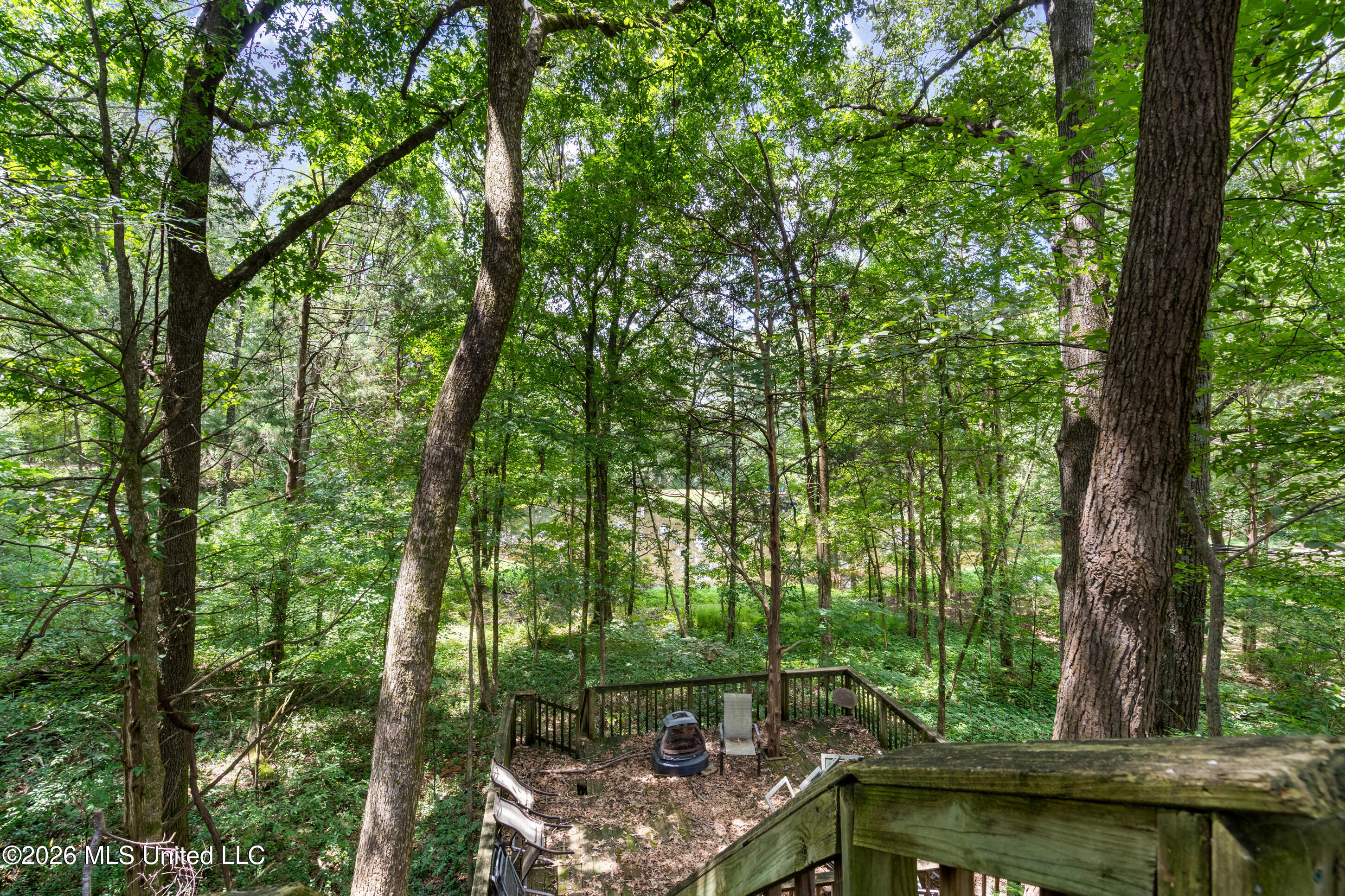 8265 Windersgate Drive Property Photo 37