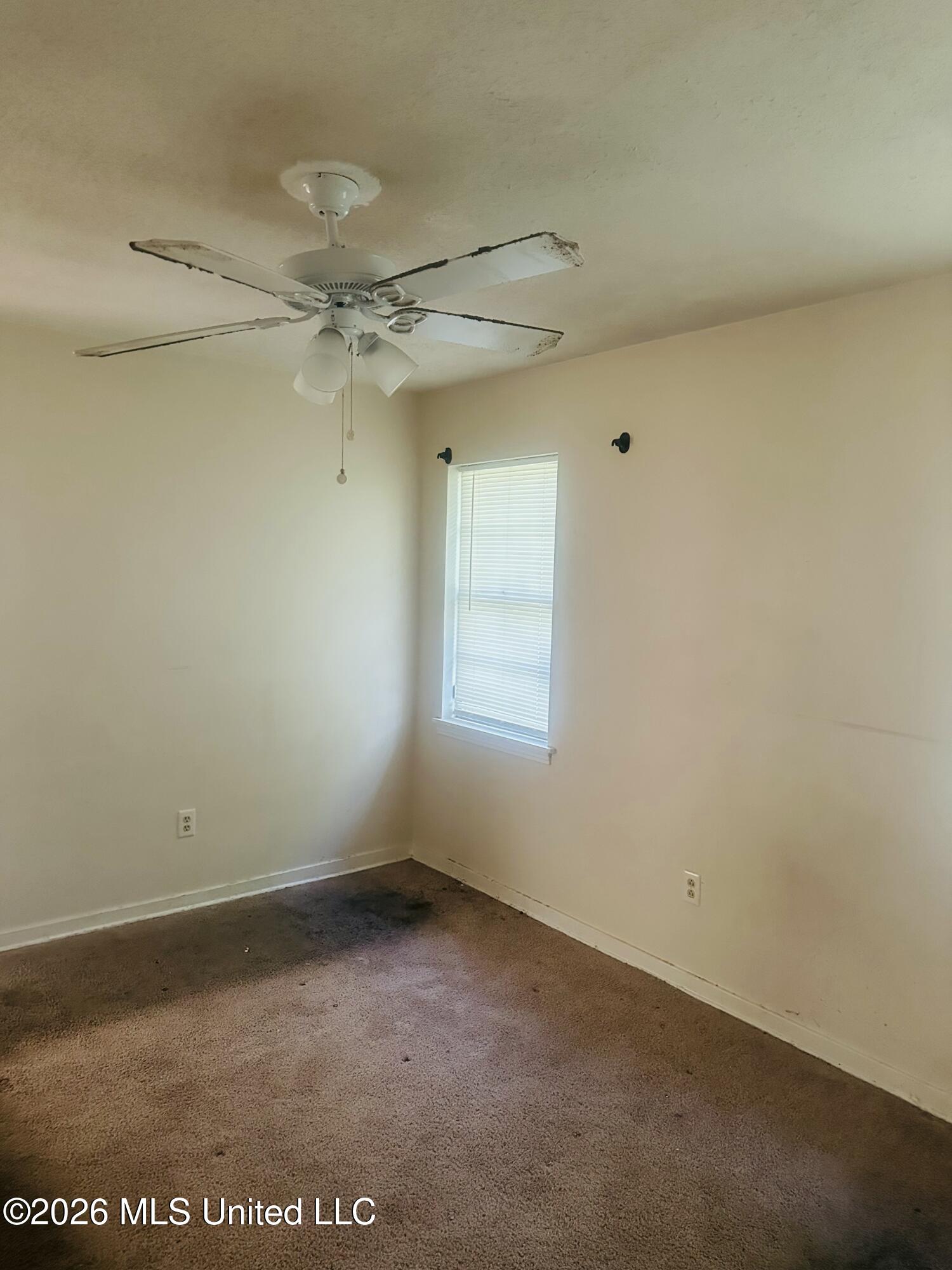 508 Queen Park Circle Property Photo 10