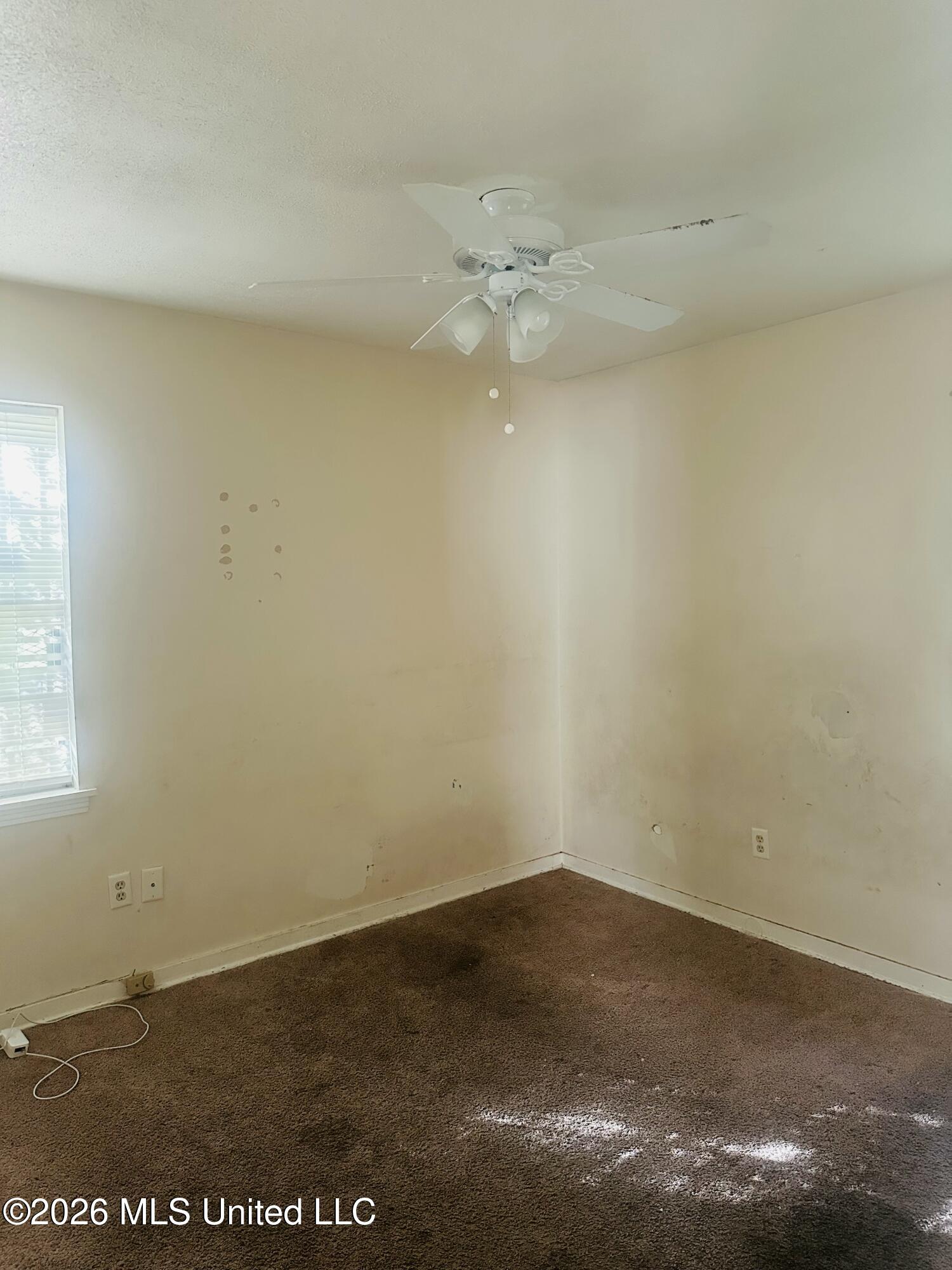 508 Queen Park Circle Property Photo 14