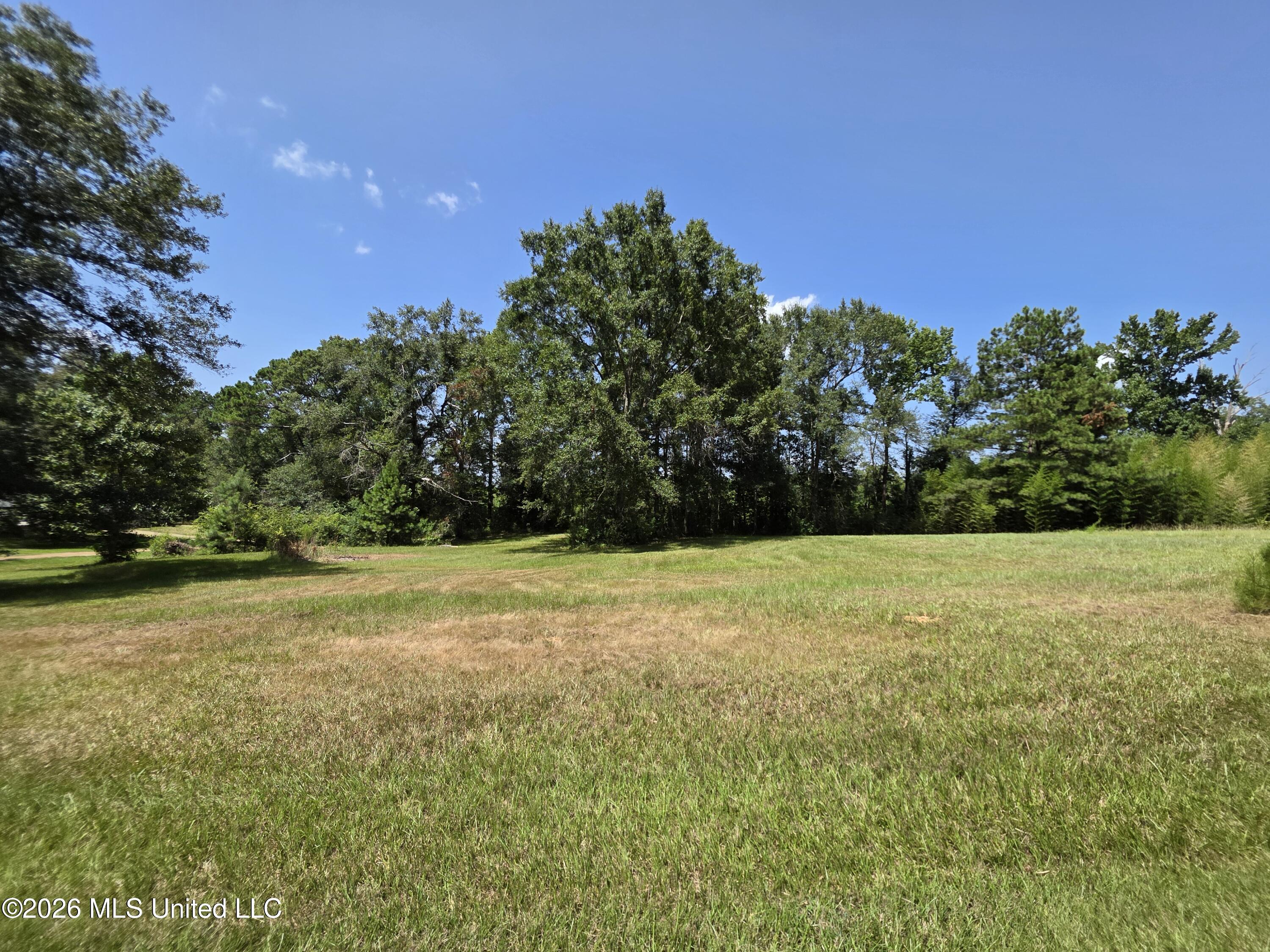1041 3rd Street Property Photo 1