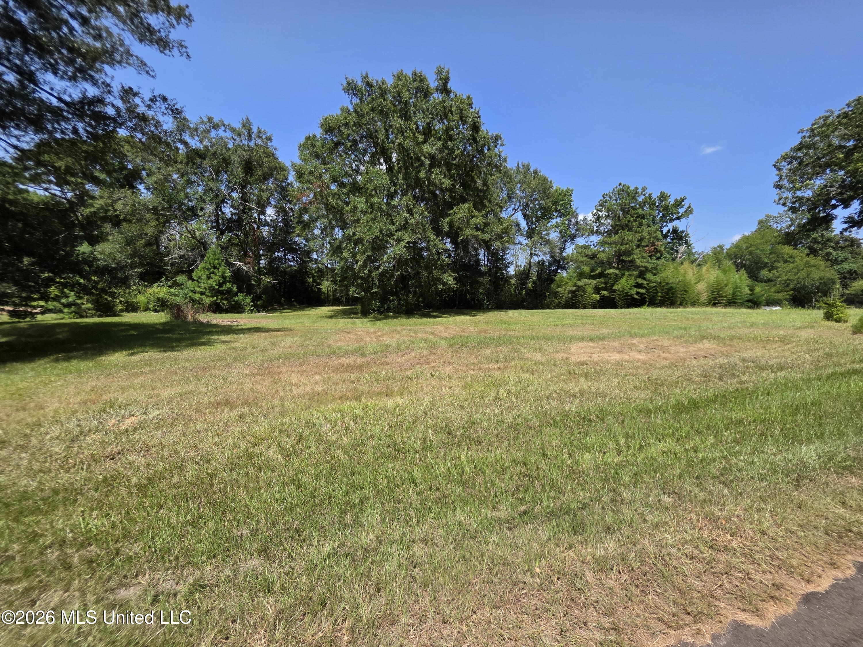 1041 3rd Street Property Photo 2