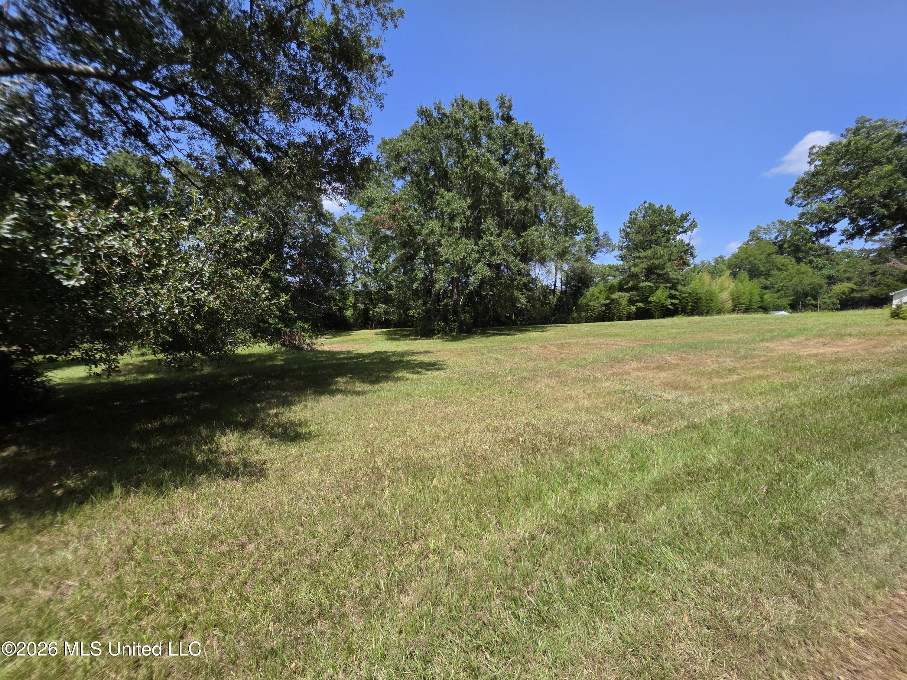 1041 3rd Street Property Photo 4