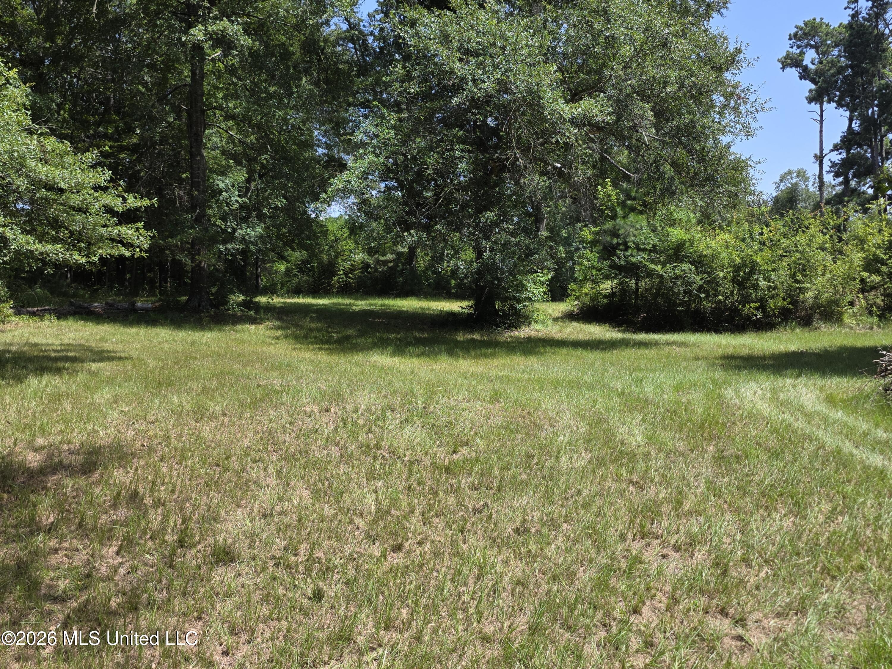 1041 3rd Street Property Photo 5