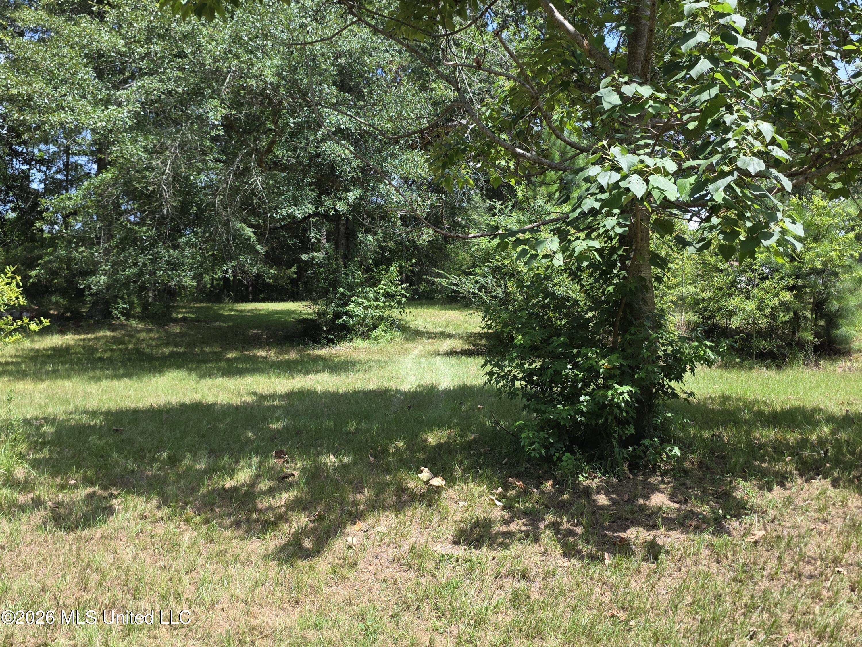 1041 3rd Street Property Photo 6
