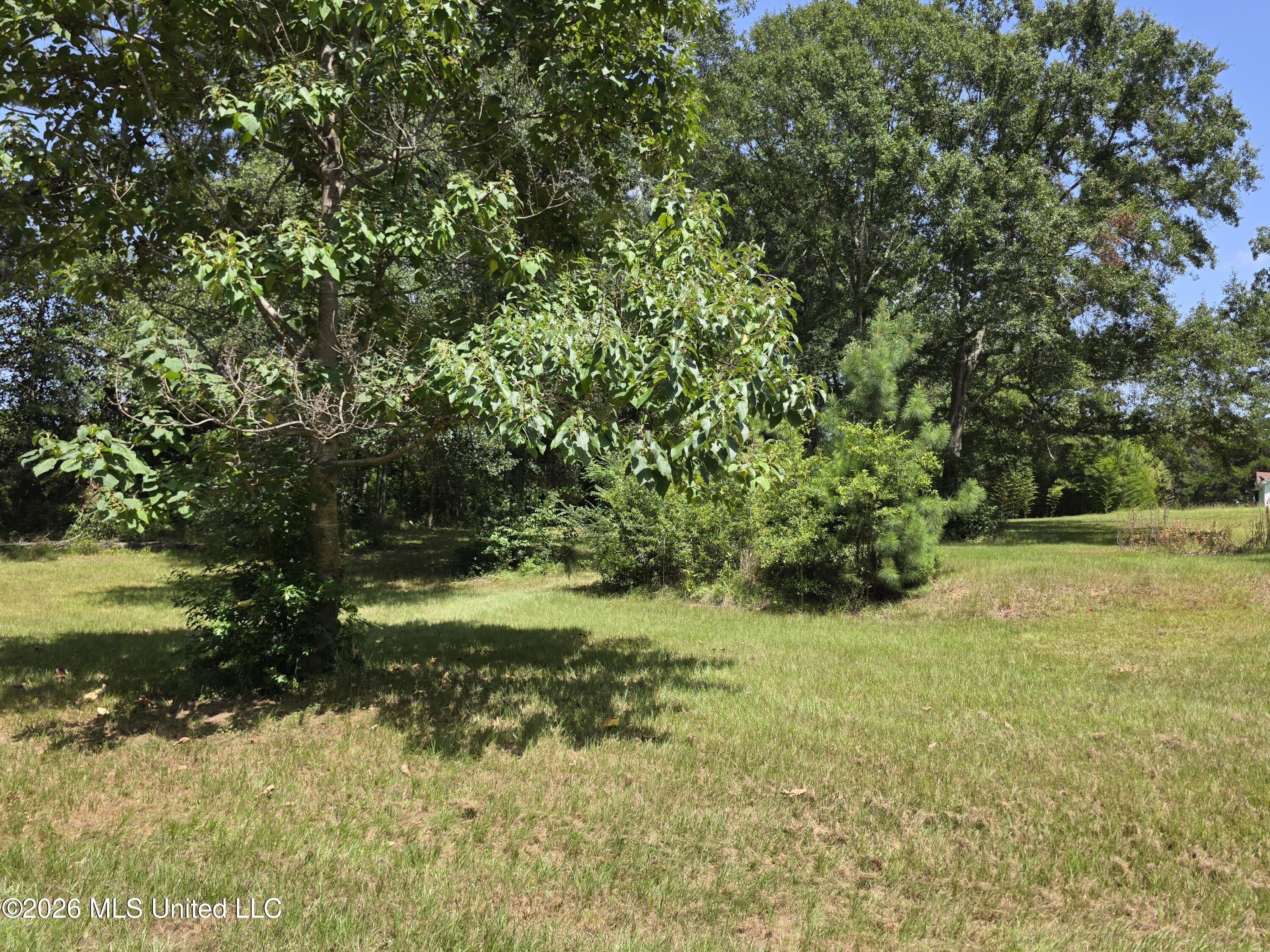 1041 3rd Street Property Photo 7