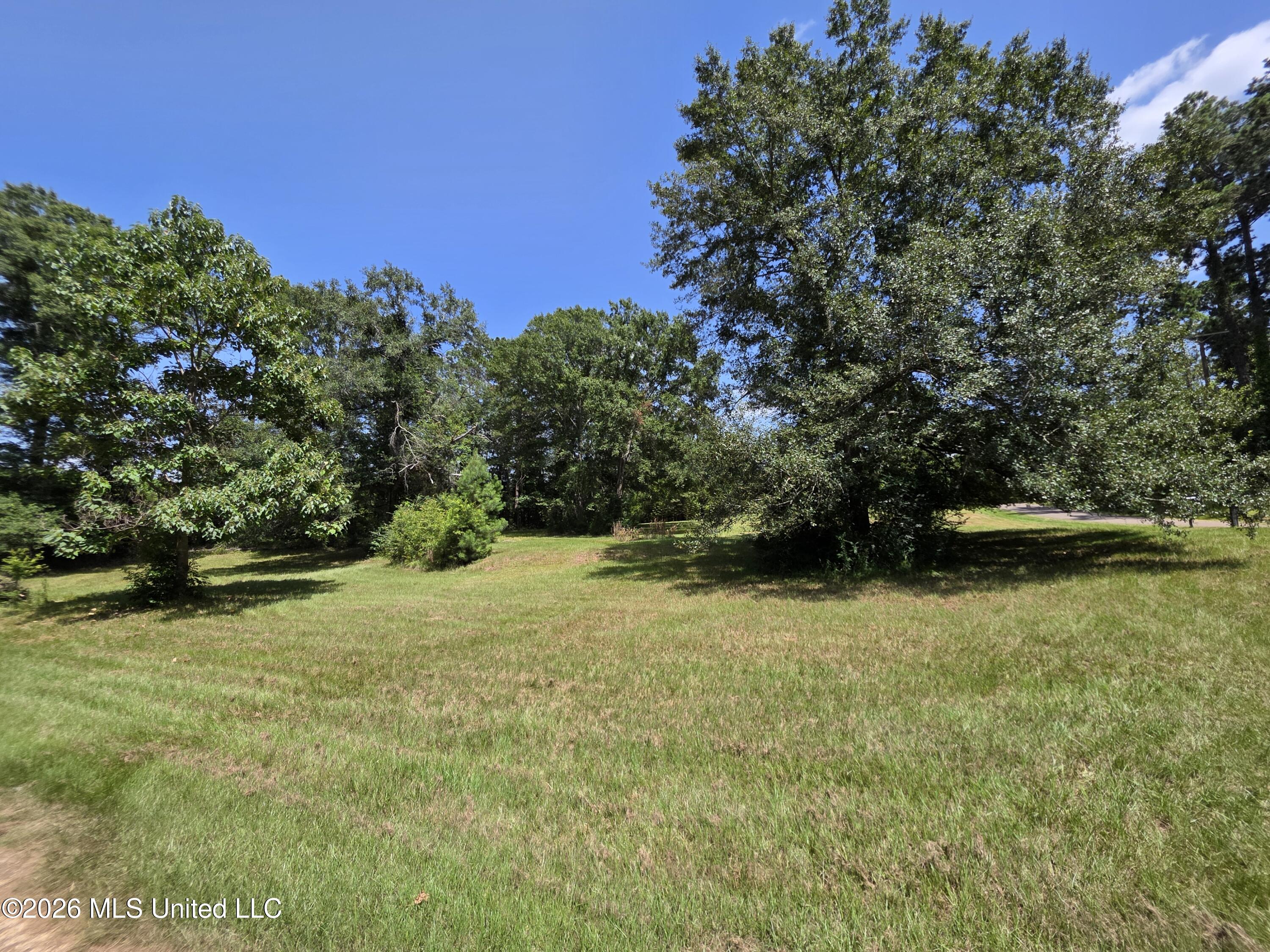 1041 3rd Street Property Photo 8