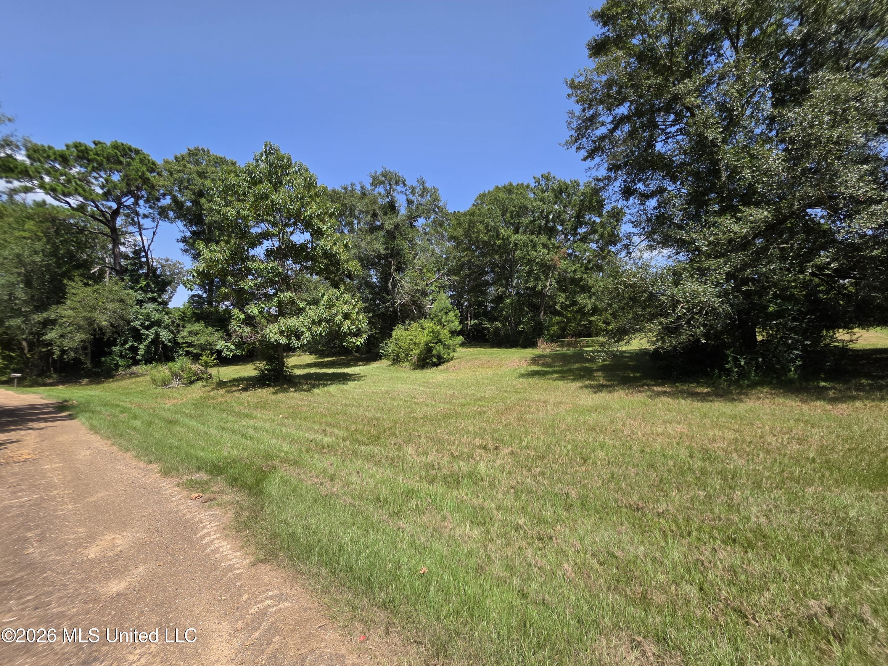 1041 3rd Street Property Photo 9
