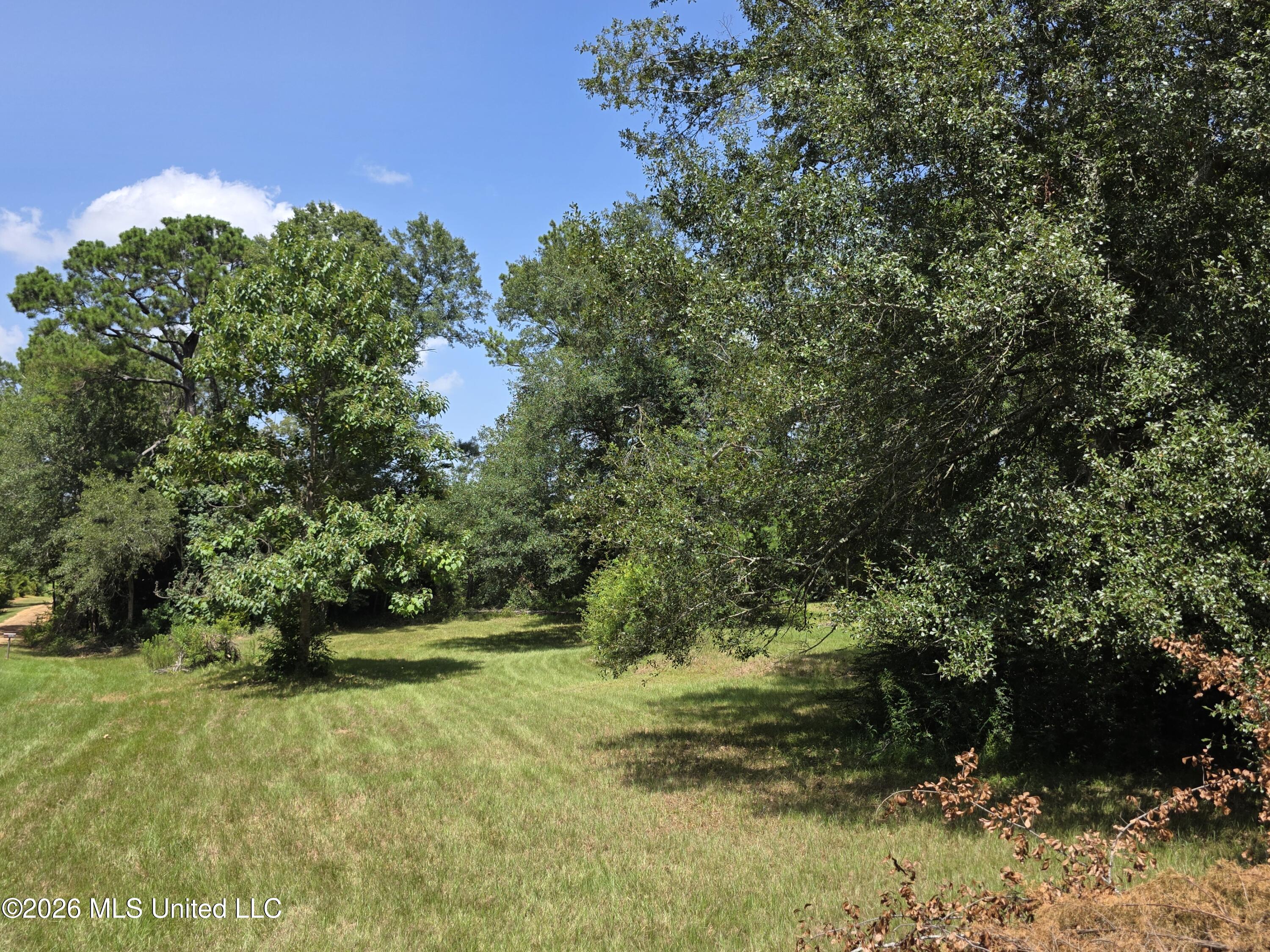 1041 3rd Street Property Photo 10