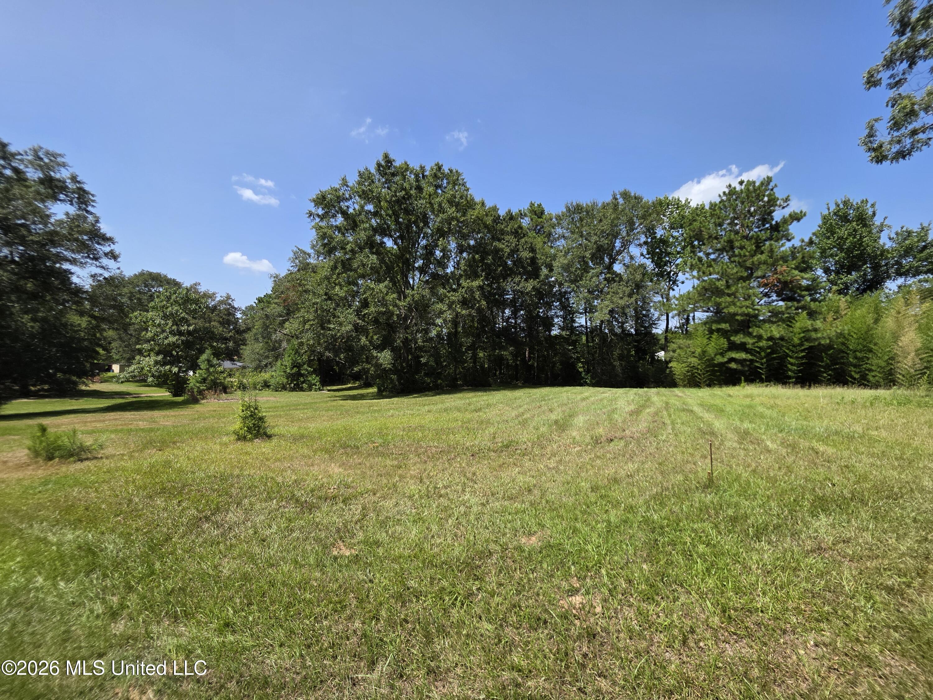 1041 3rd Street Property Photo 11