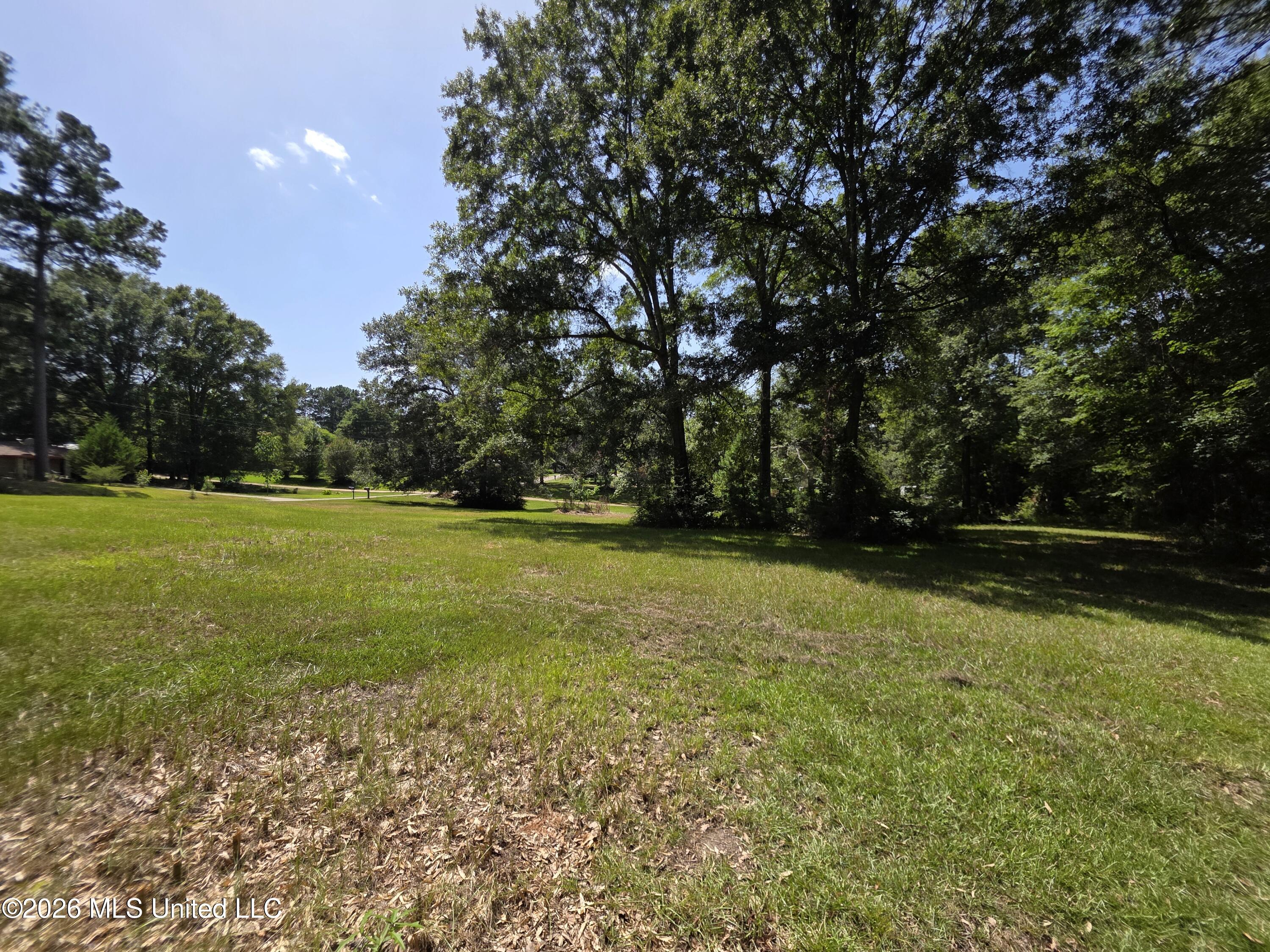 1041 3rd Street Property Photo 12