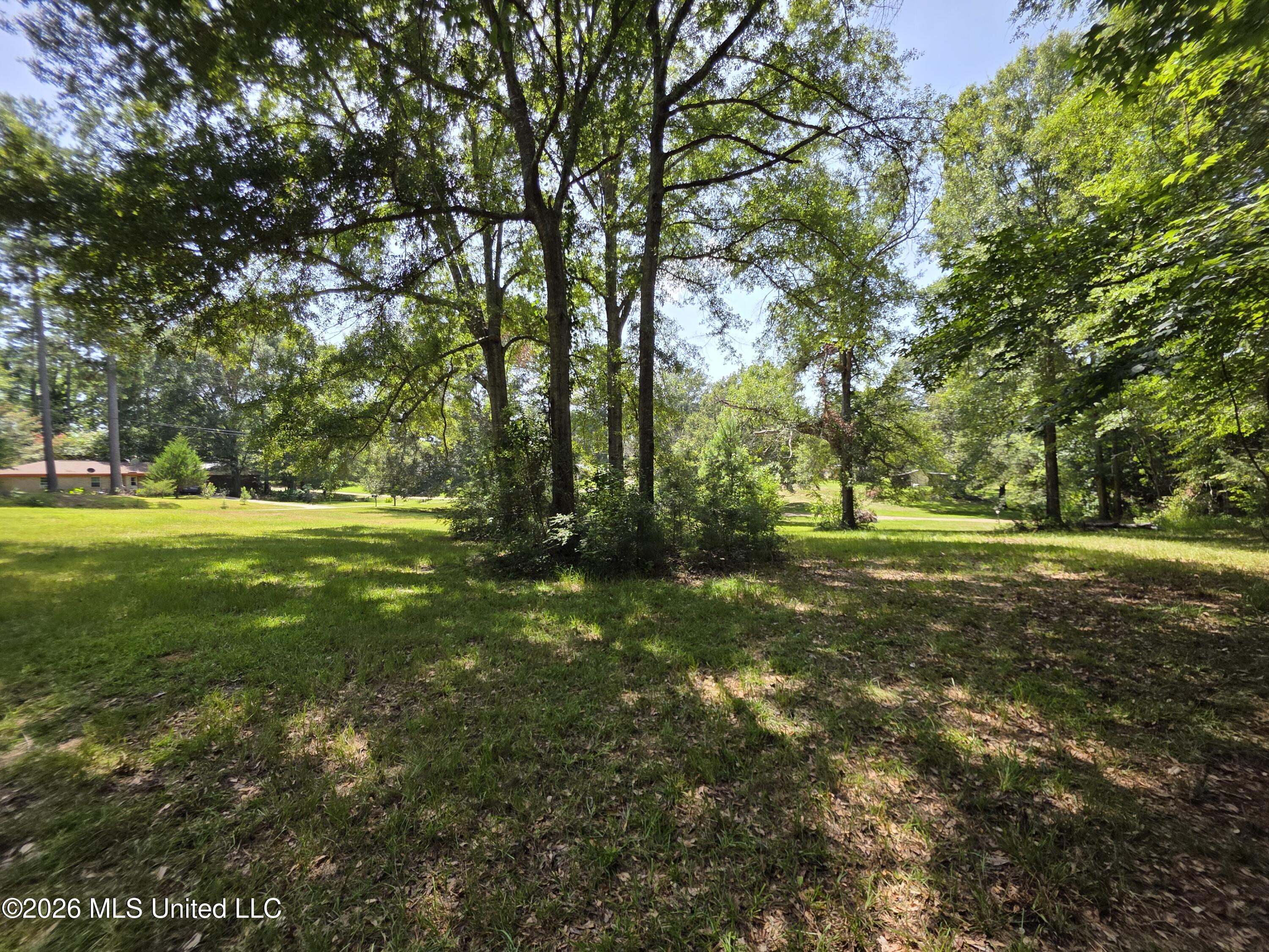 1041 3rd Street Property Photo 13