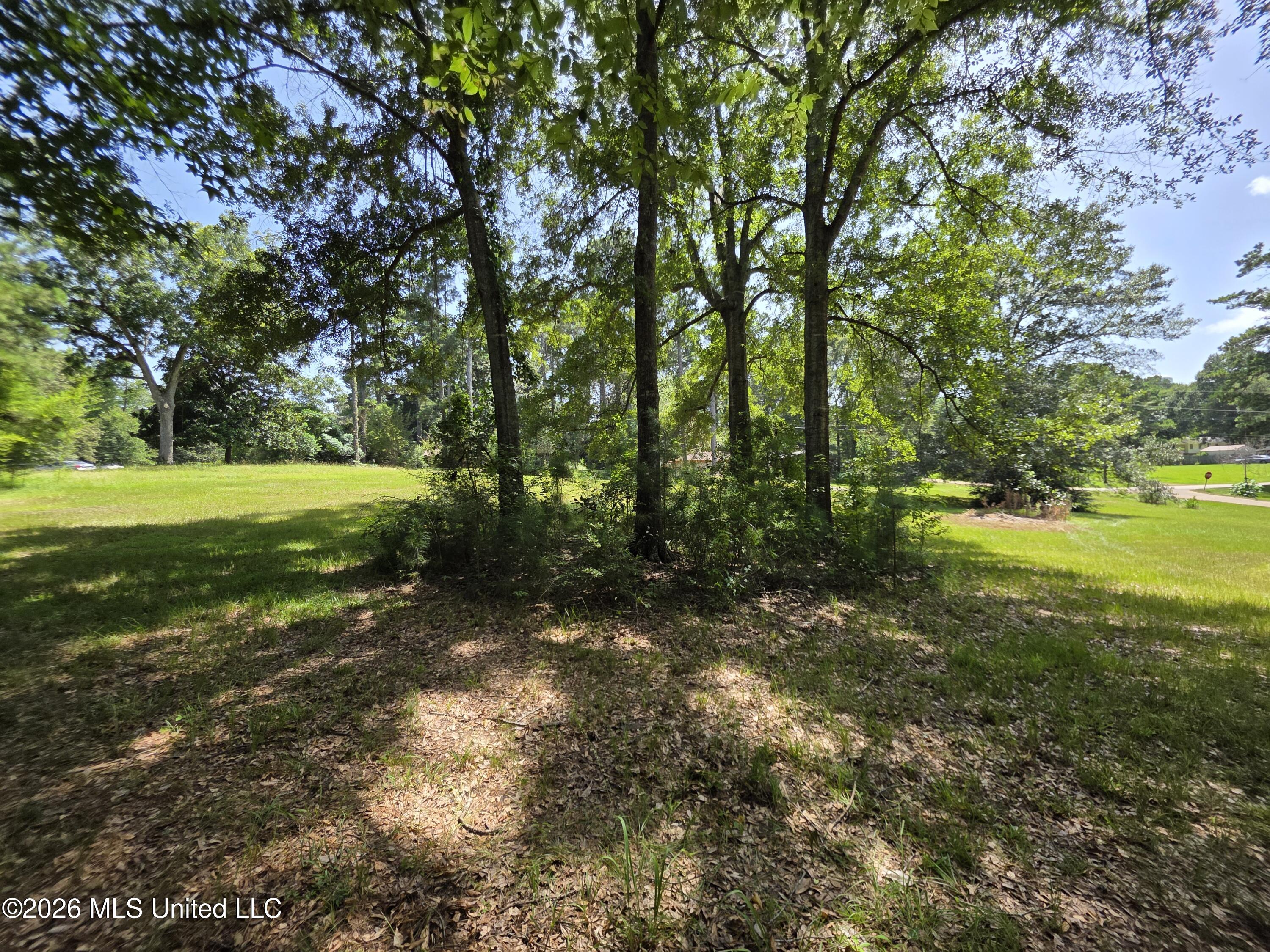 1041 3rd Street Property Photo 14
