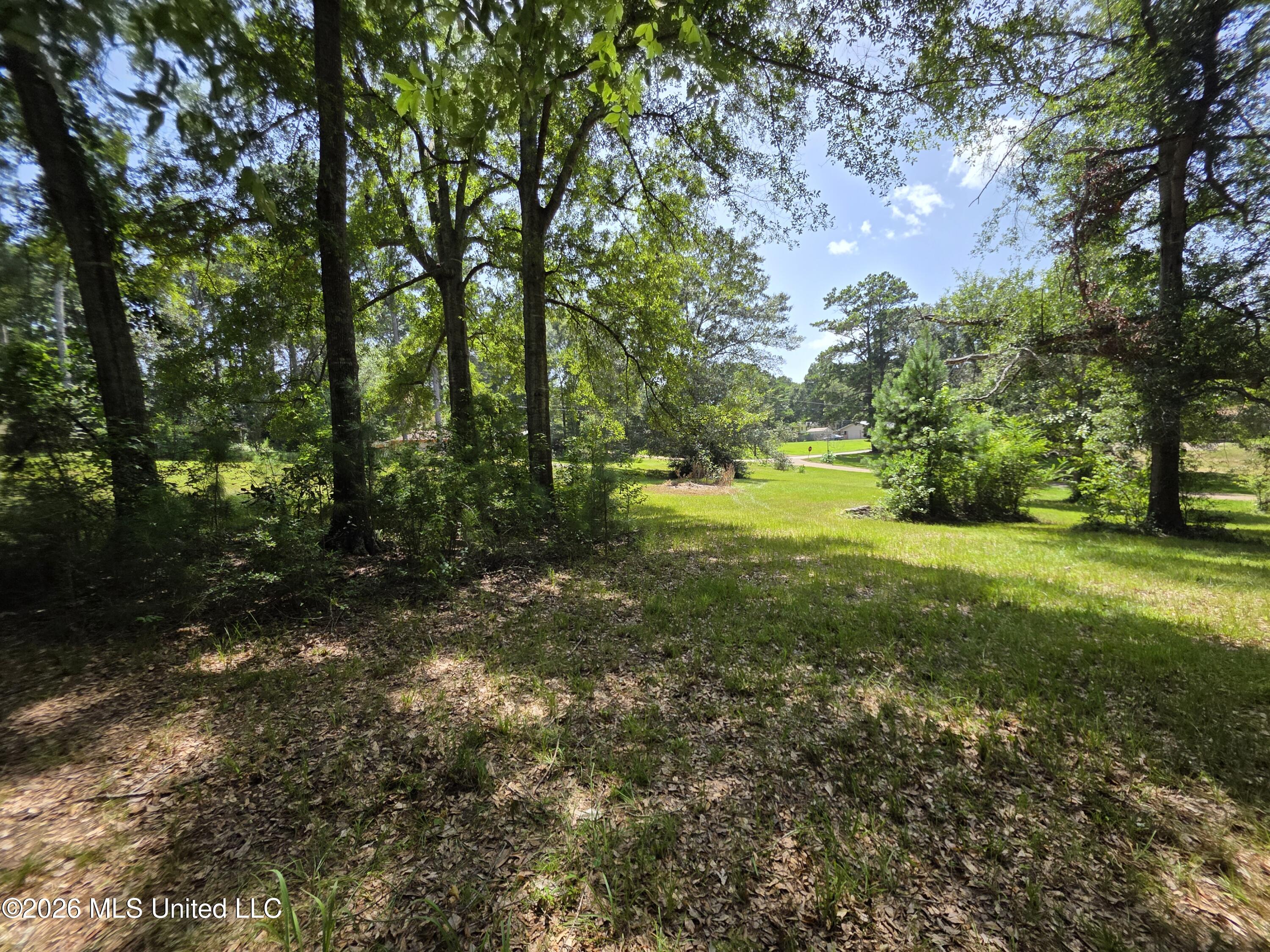 1041 3rd Street Property Photo 15