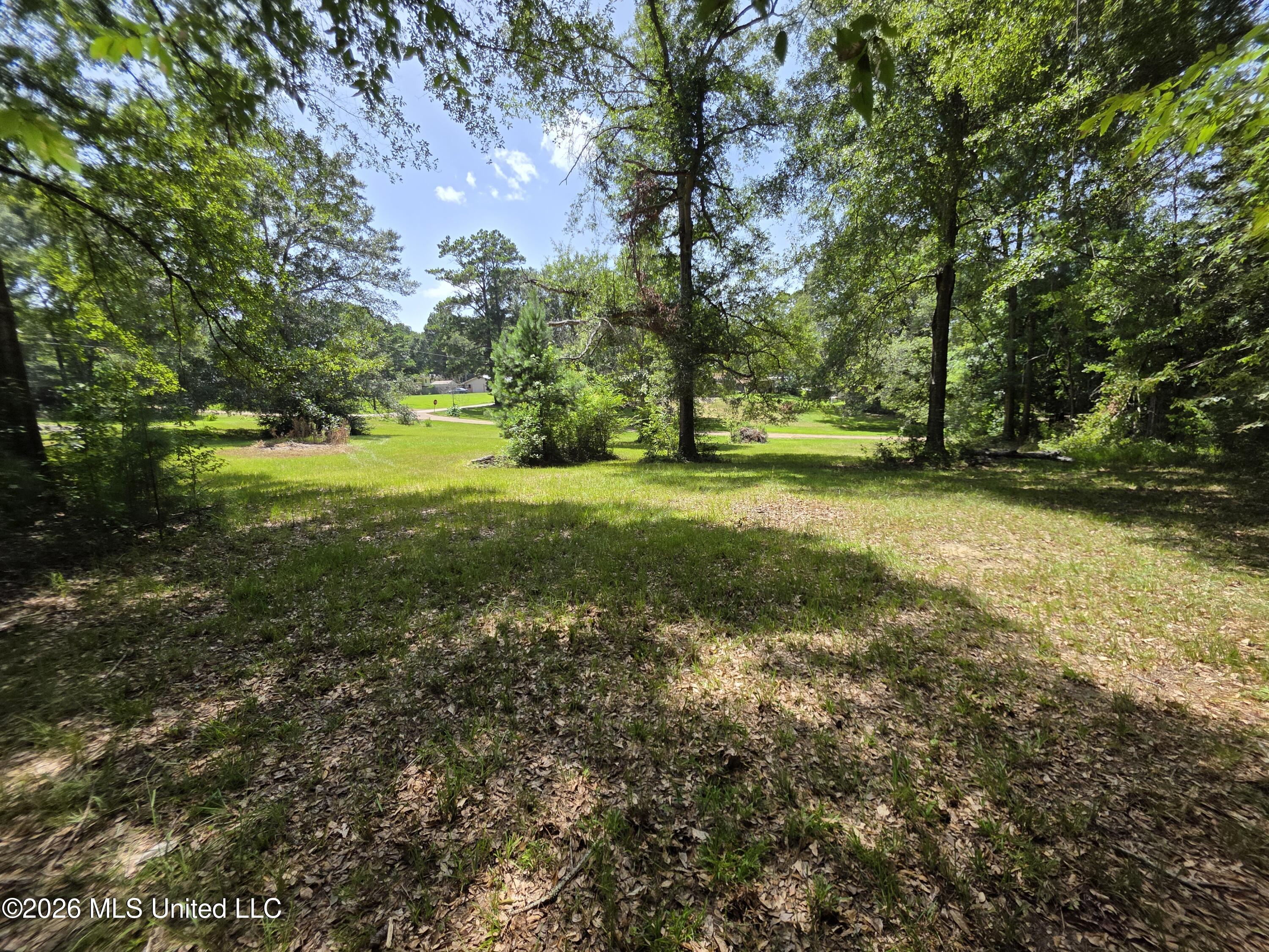 1041 3rd Street Property Photo 16