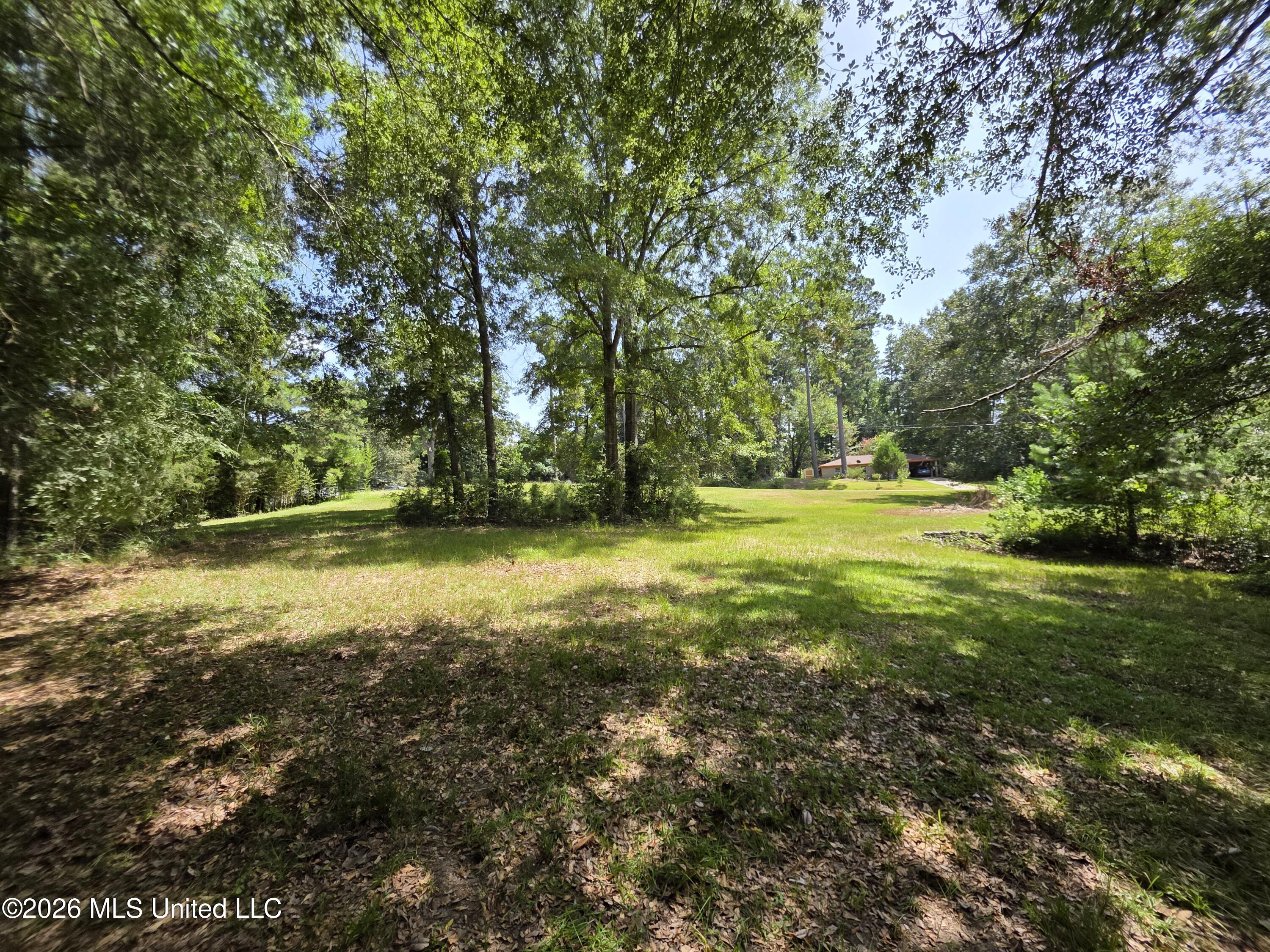 1041 3rd Street Property Photo 17