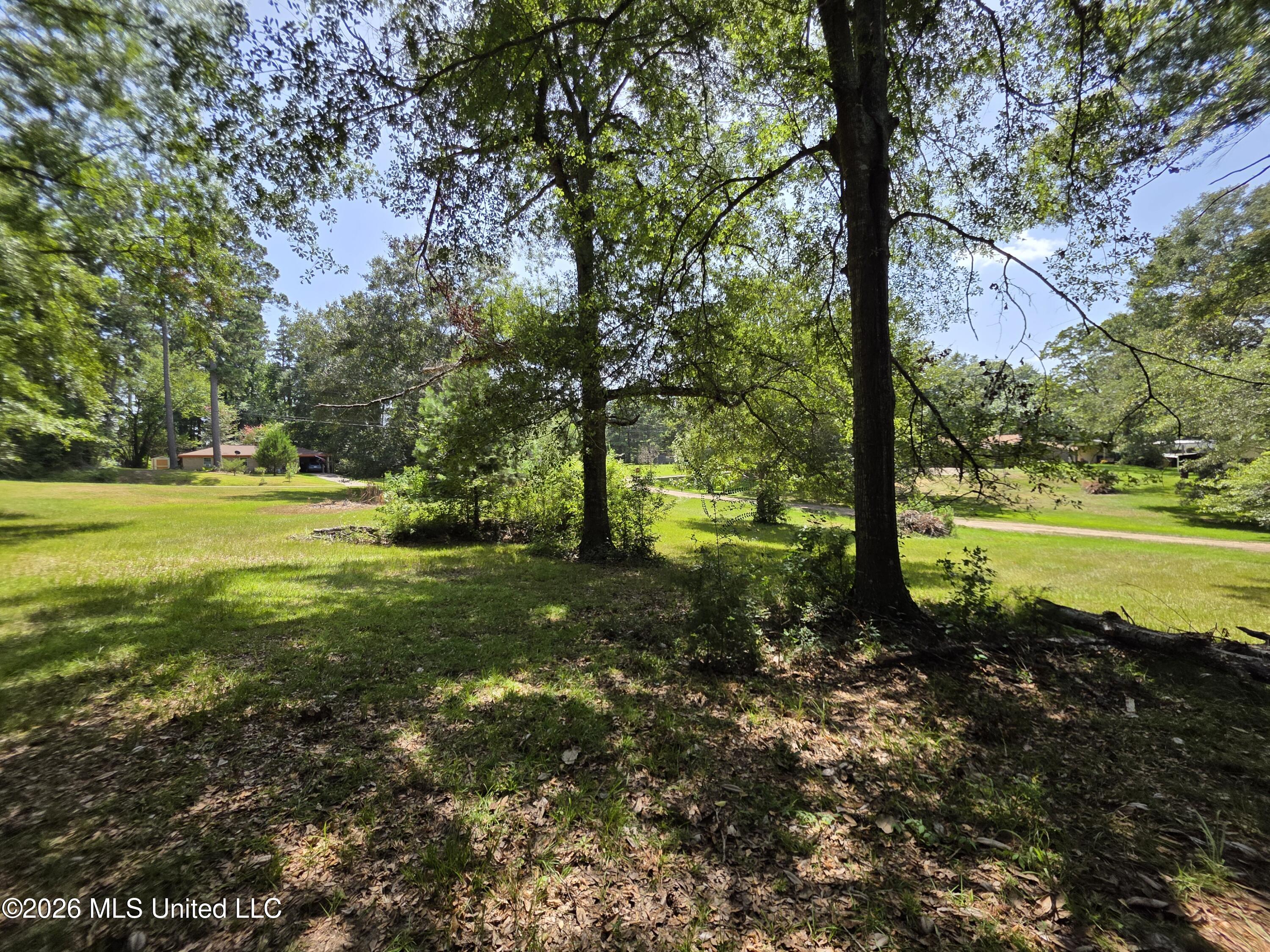 1041 3rd Street Property Photo 18
