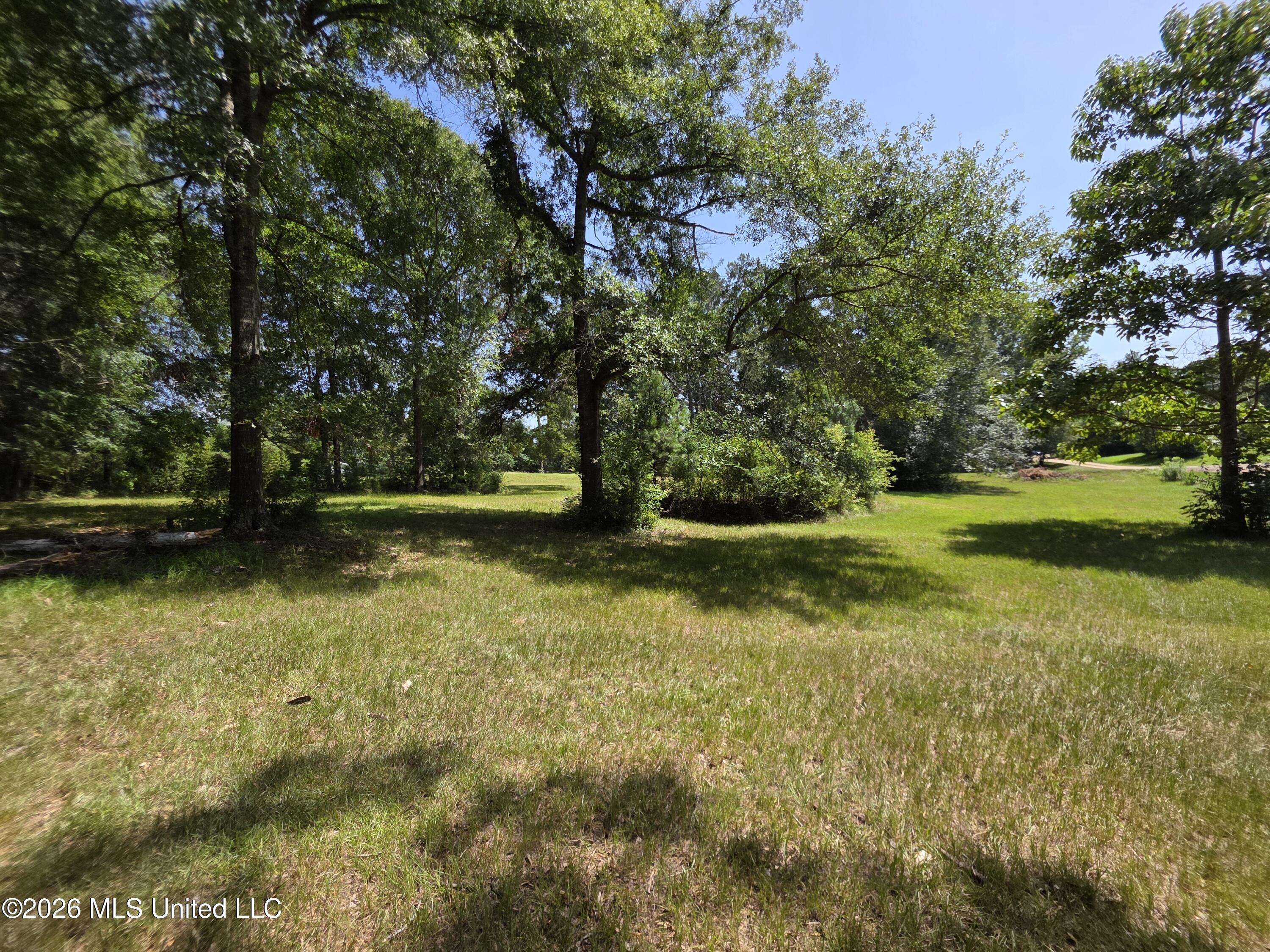 1041 3rd Street Property Photo 19