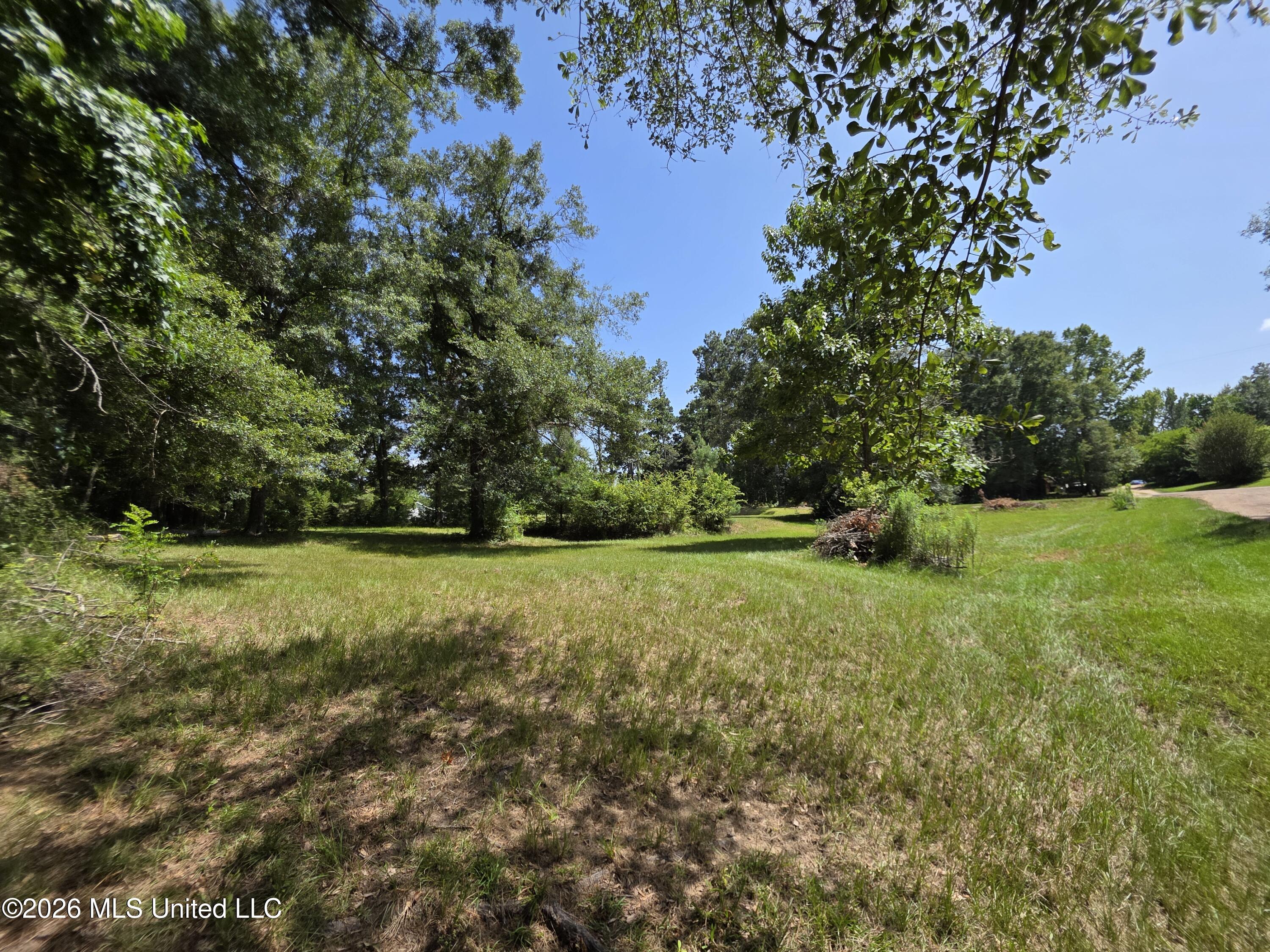 1041 3rd Street Property Photo 21