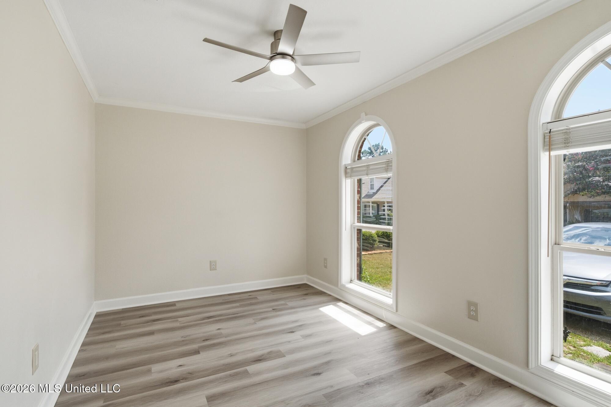 3 Bridgefield Court Property Photo 14
