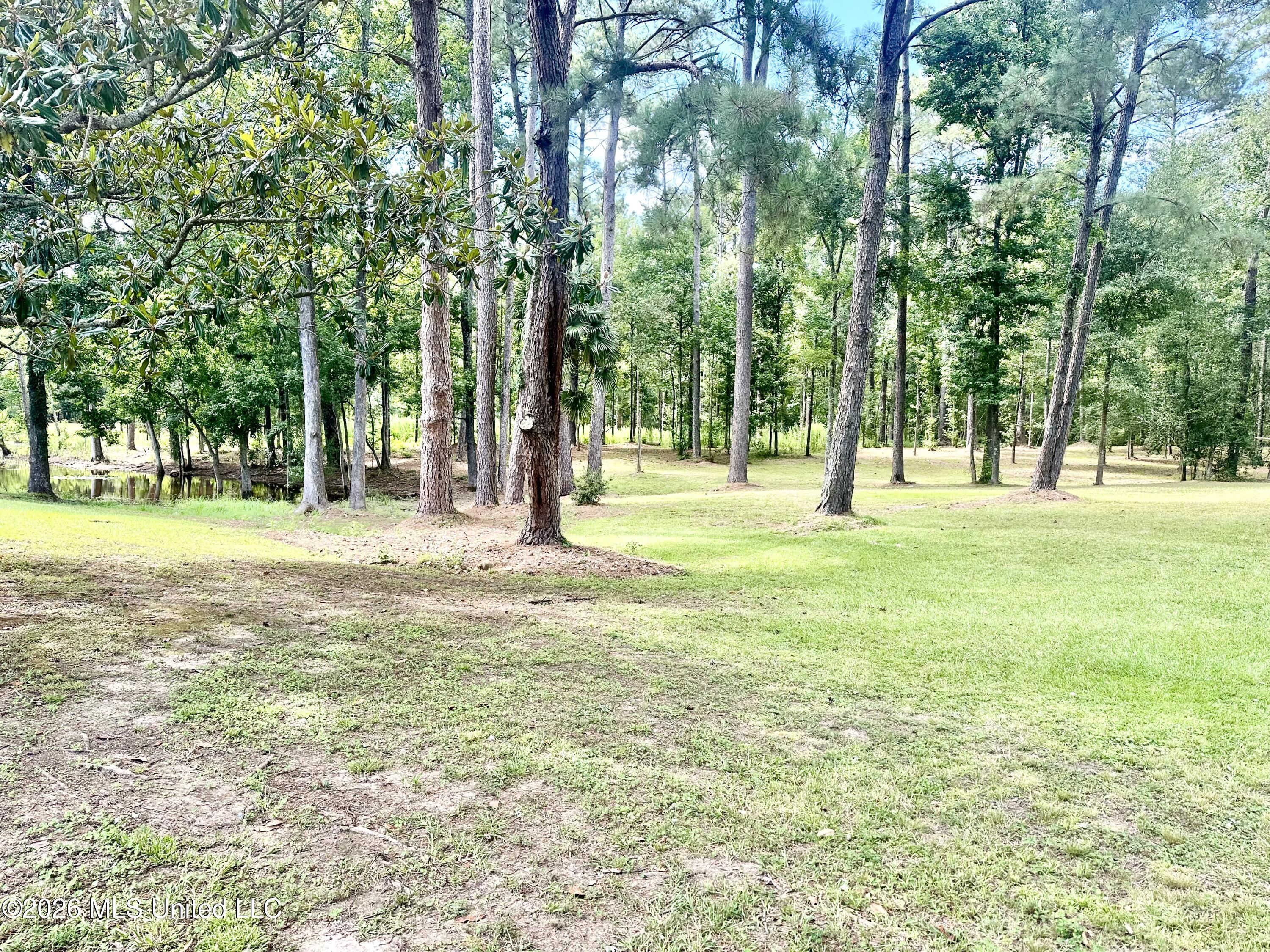 918 Hwy 51 S Property Photo 25
