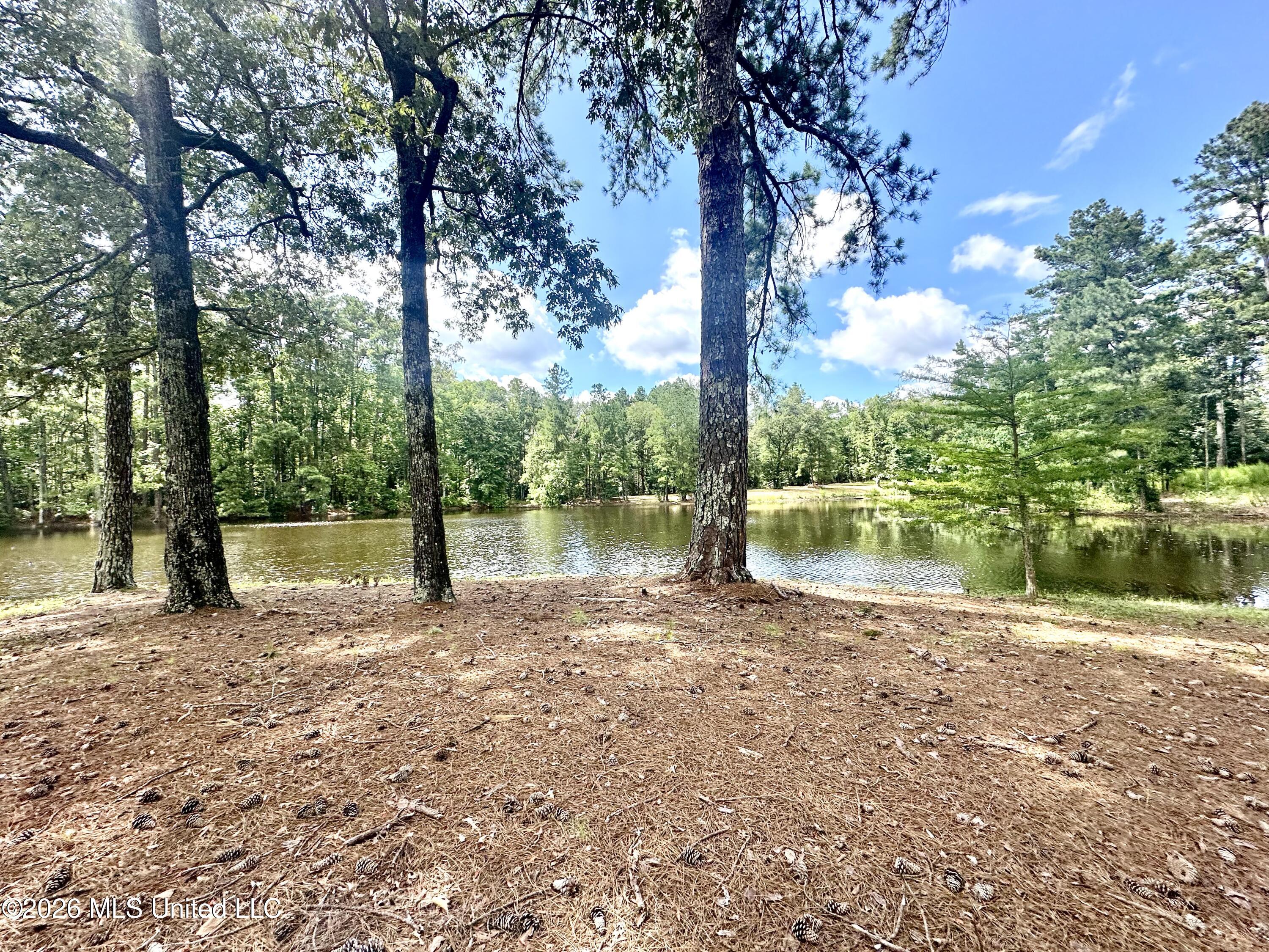918 Hwy 51 S Property Photo 28