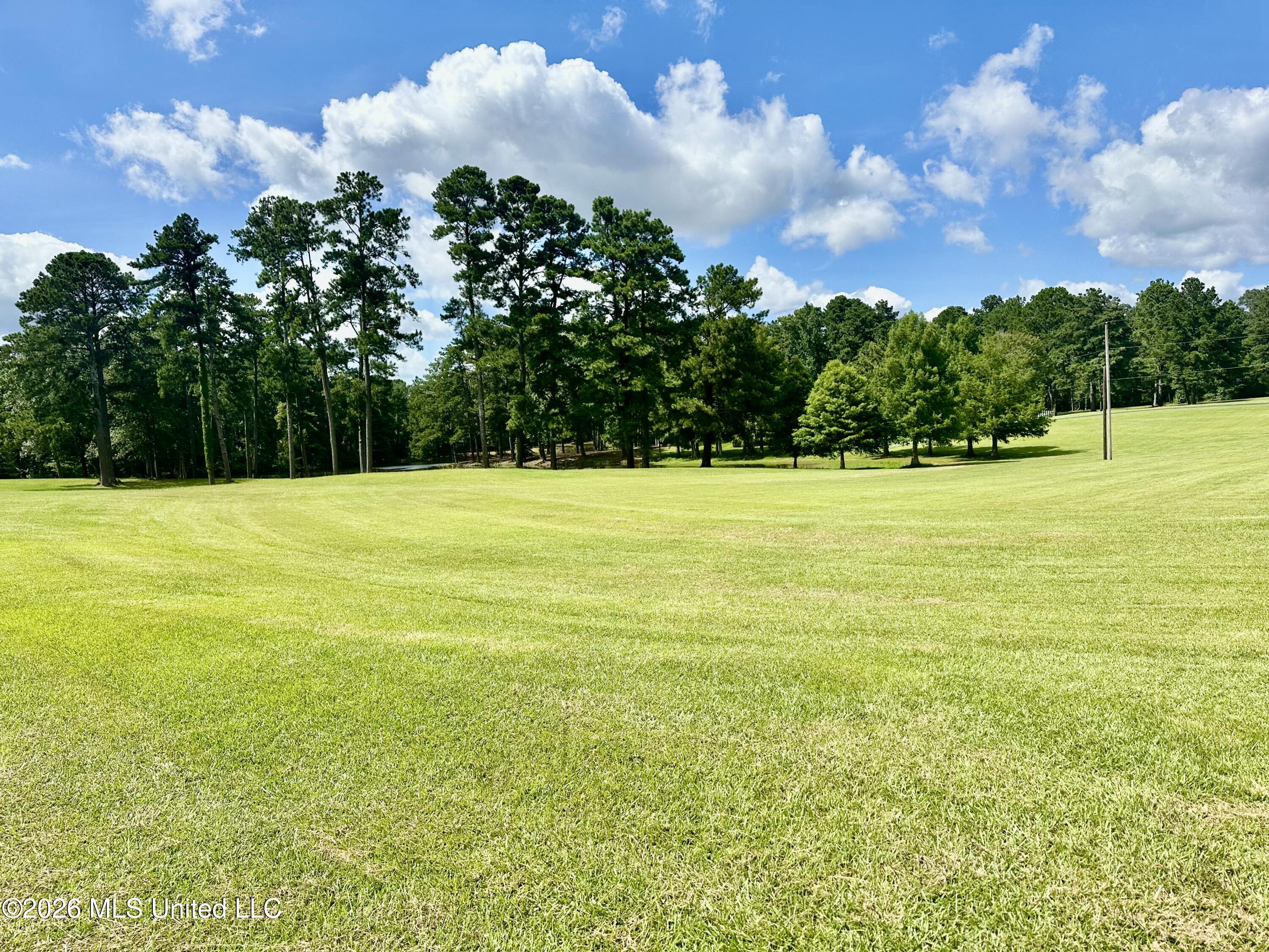 918 Hwy 51 S Property Photo 31